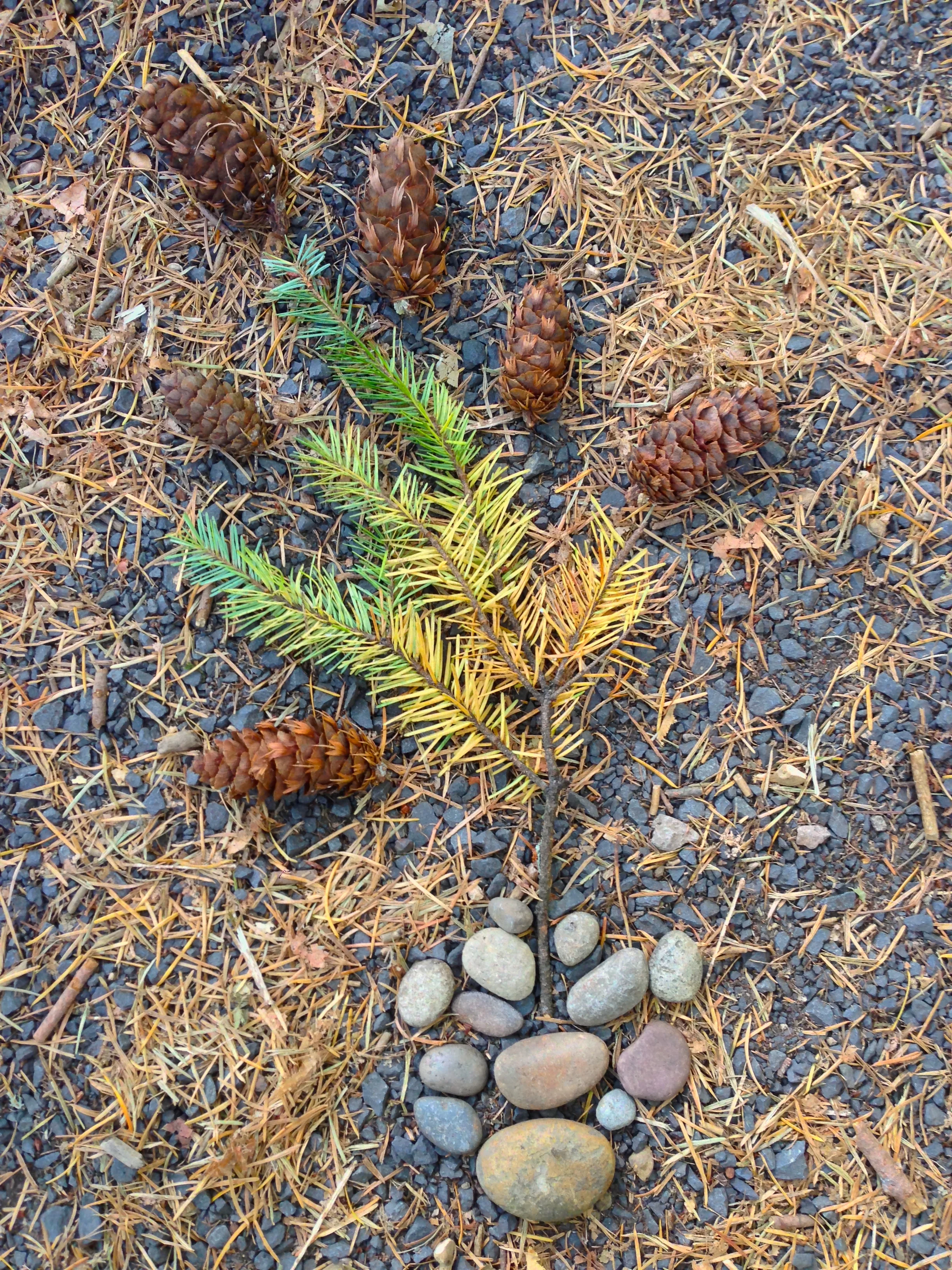 nature of things