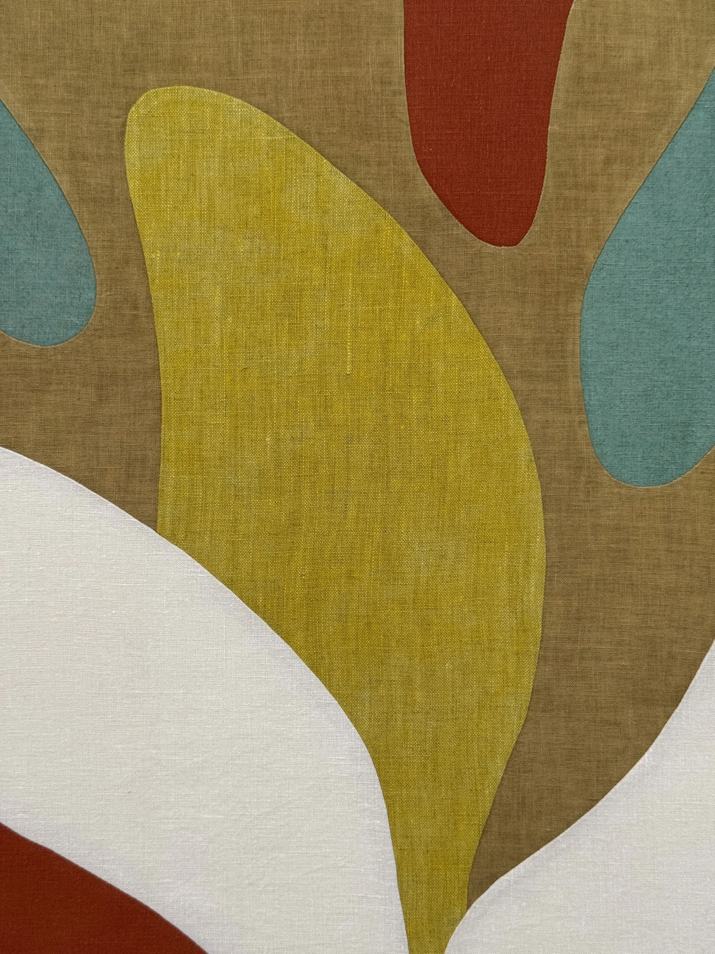 blossom close up.JPG