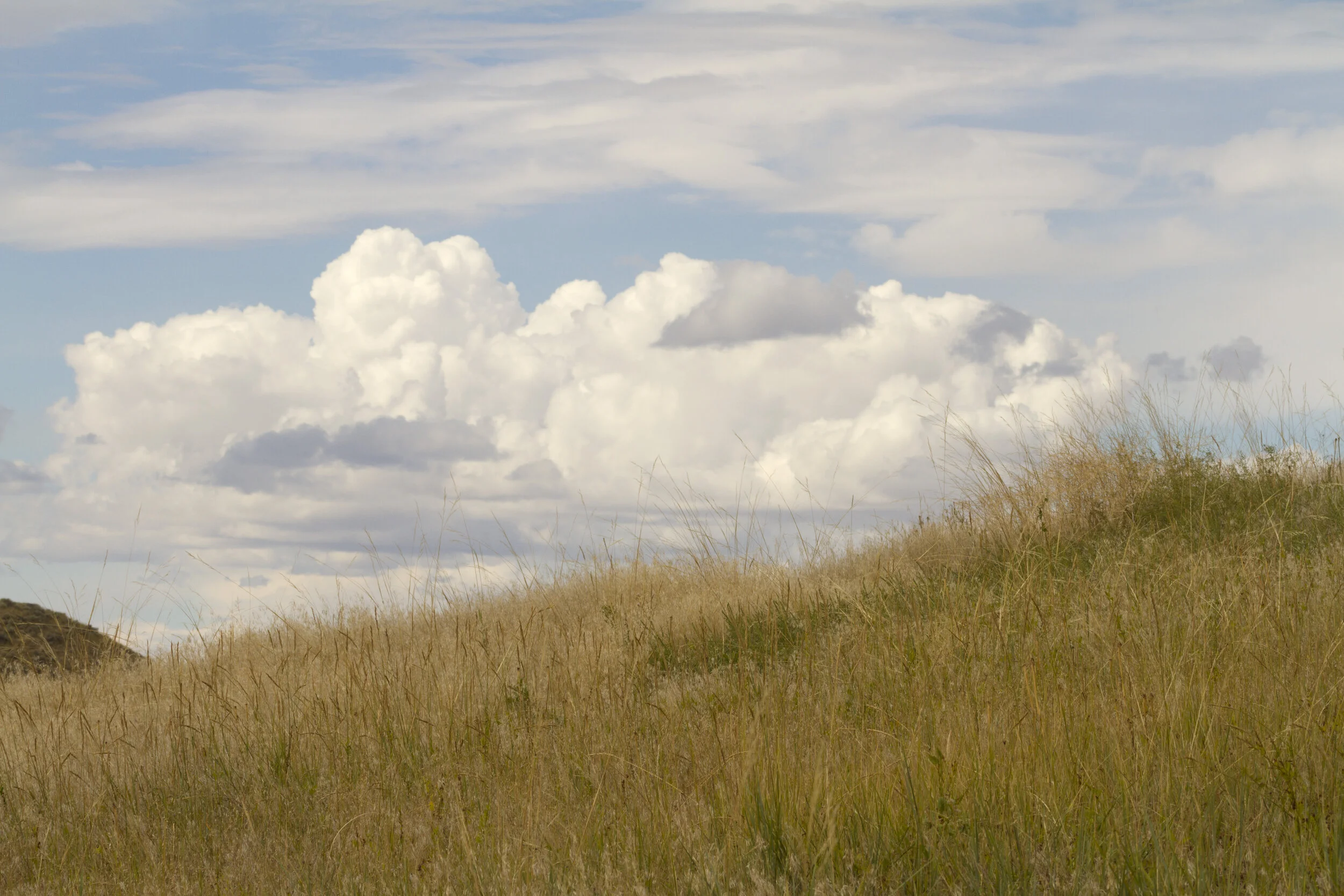 Pictograph Cave State Park.JPG
