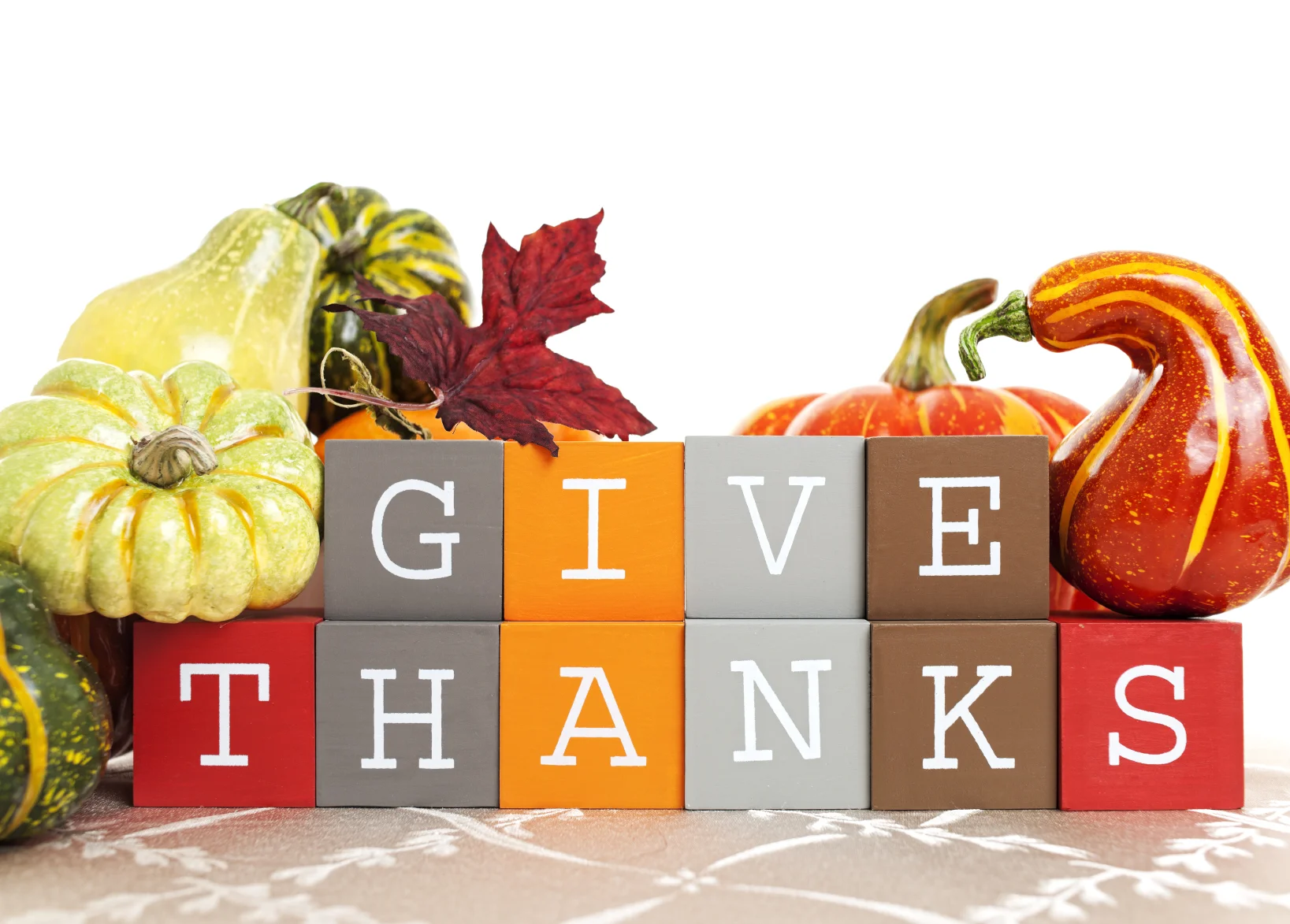 ThanksgivingBP_Image_Draft_1.jpg
