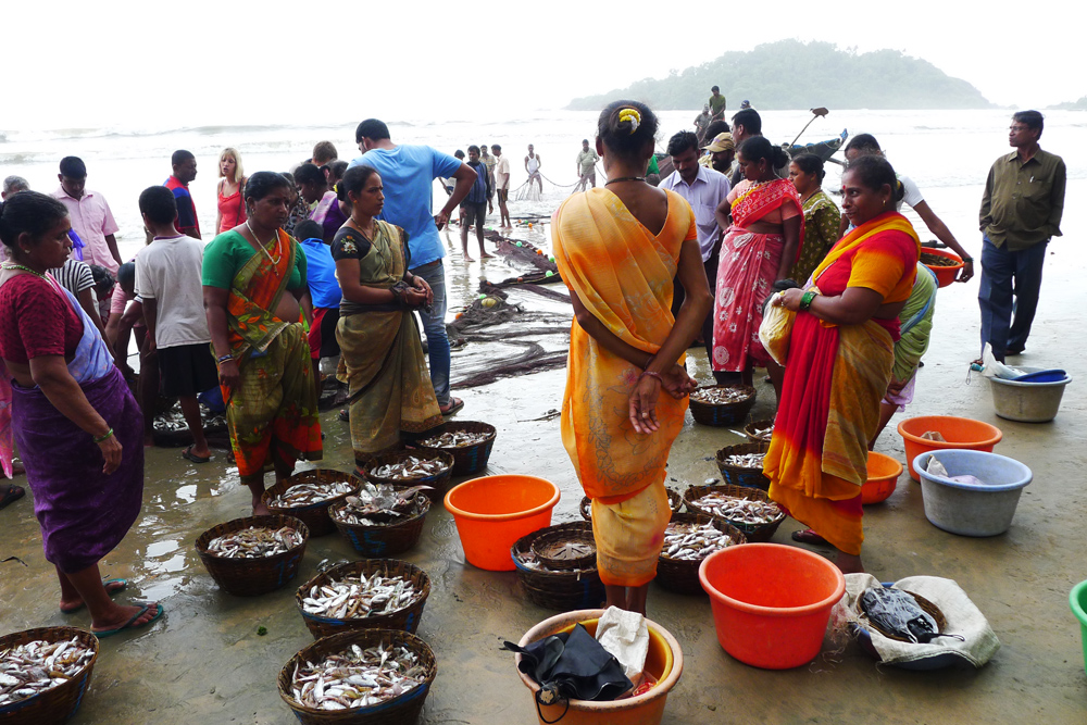 Goan Fishing Haul