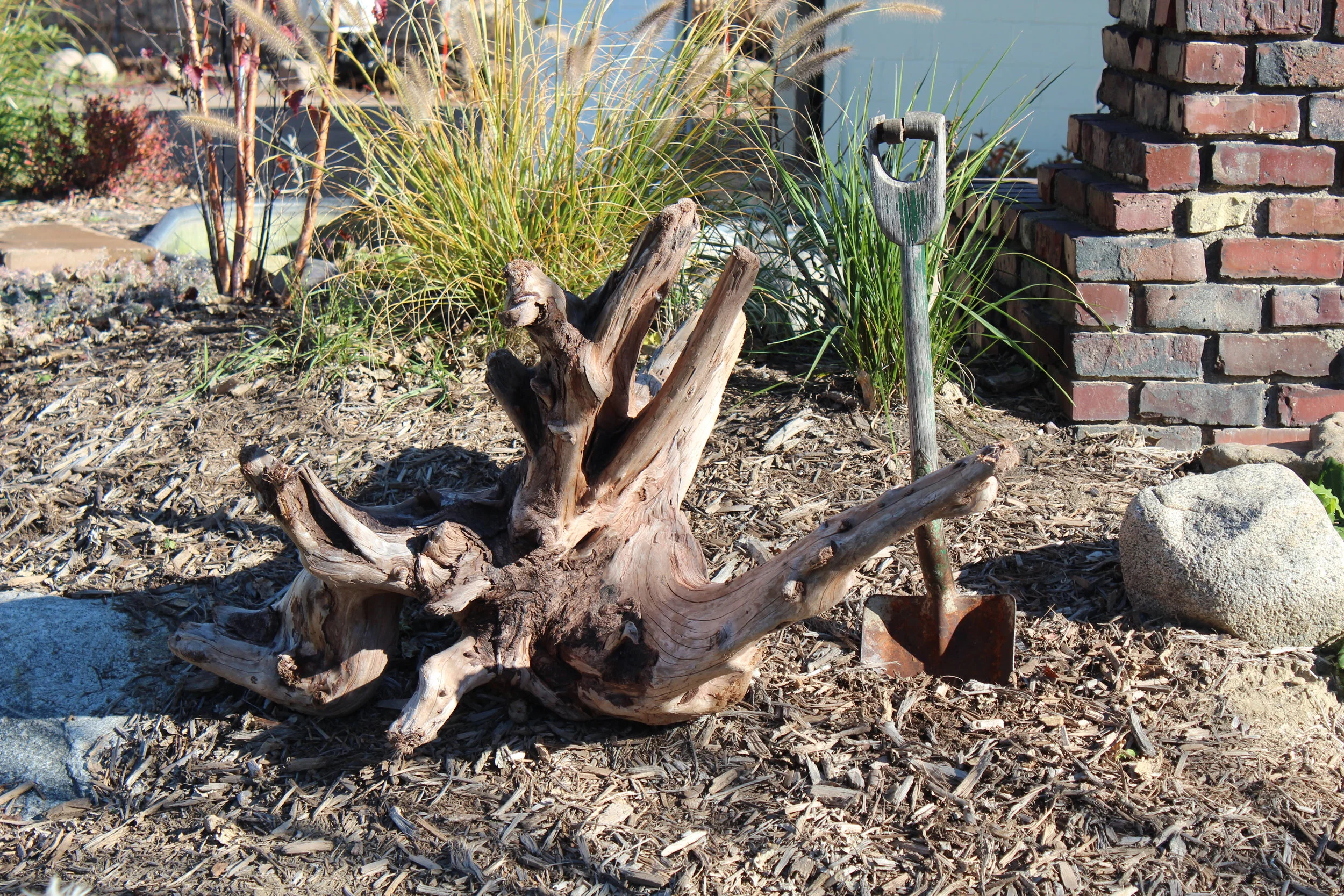 Driftwood Minneapolis