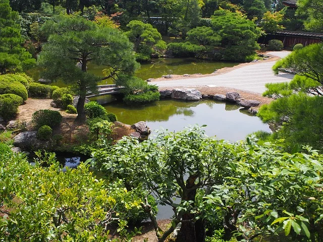 garden-pond-ideas-minneapolis.jpg
