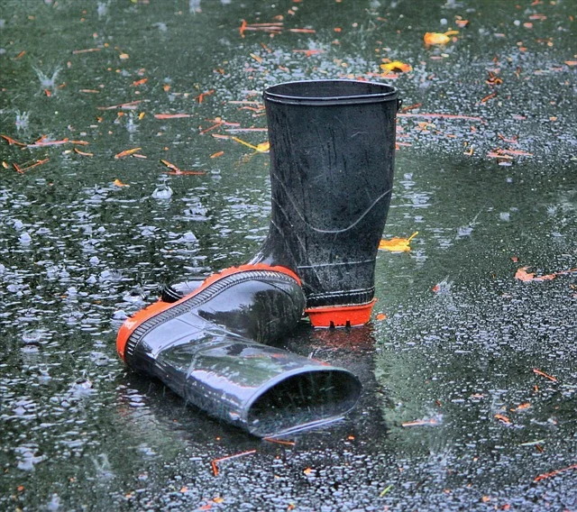 backyard-pond-spring-cleaning-minneapolis.jpg