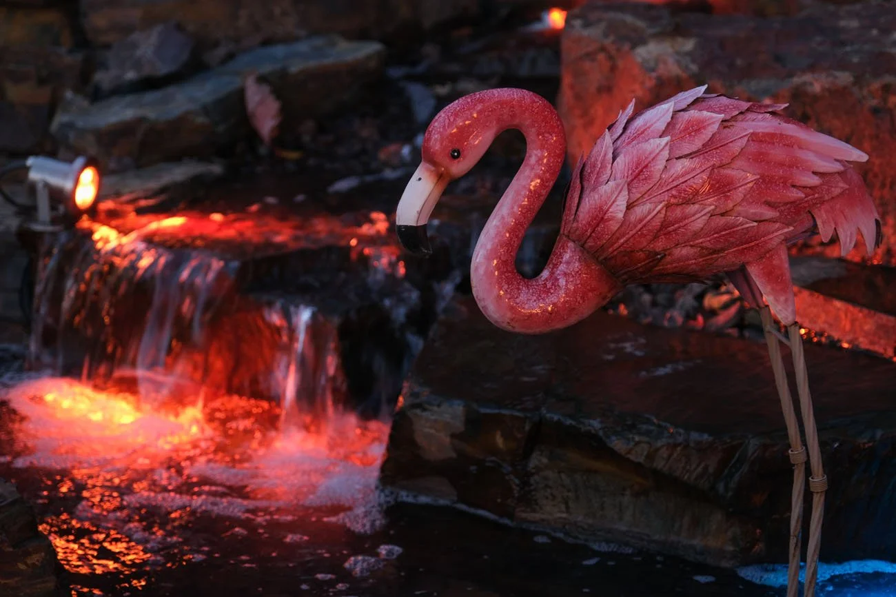 DiWhy_Pond-2.jpg