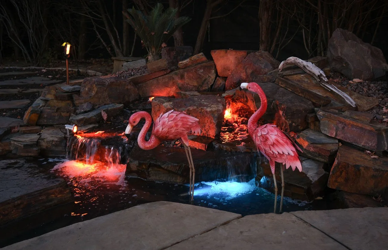 DiWhy_Pond.jpg