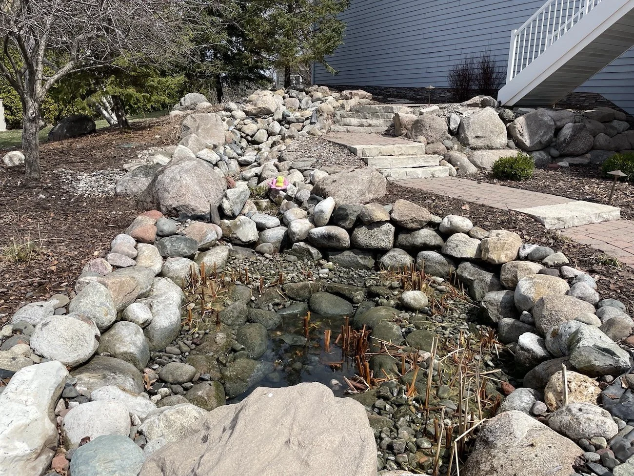 Cleaned pond how to clean backyard ponds water features