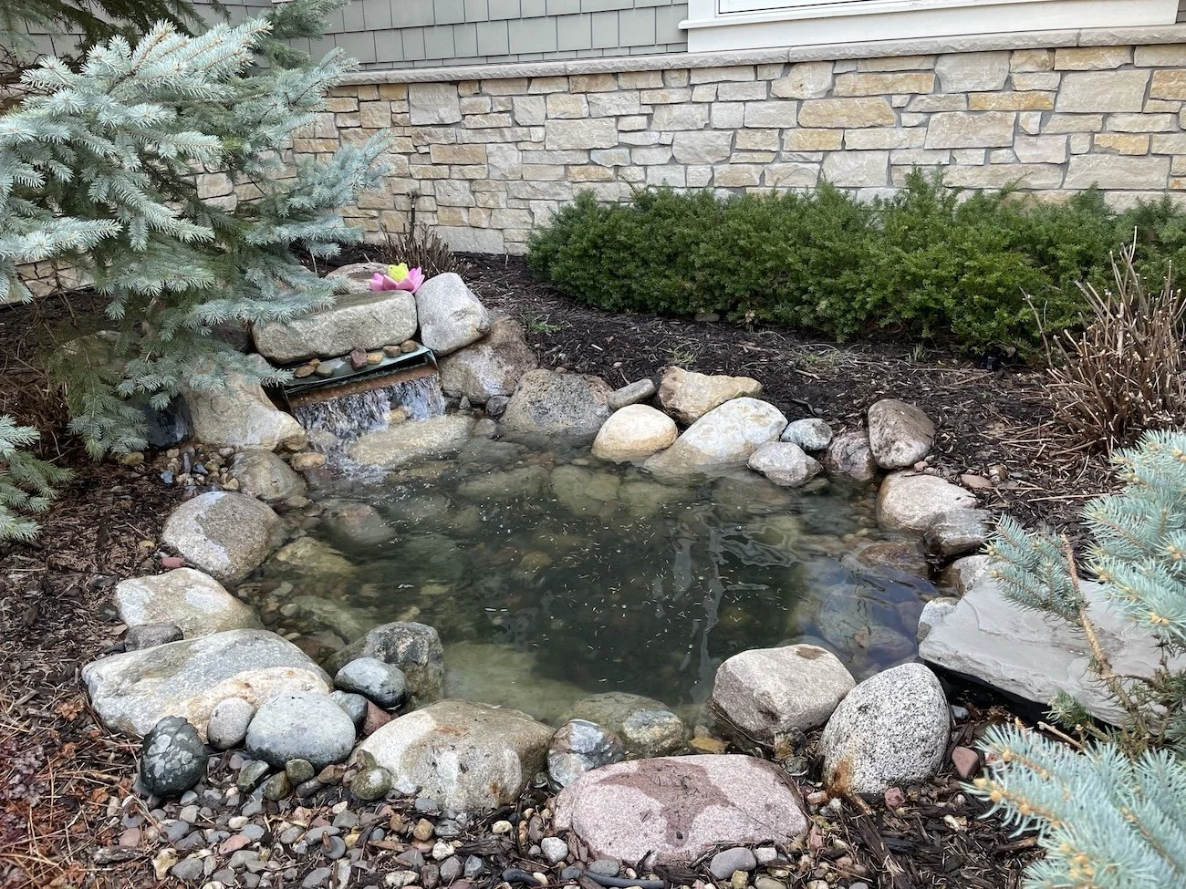 How to Clean Your Backyard Pond or Water Feature 