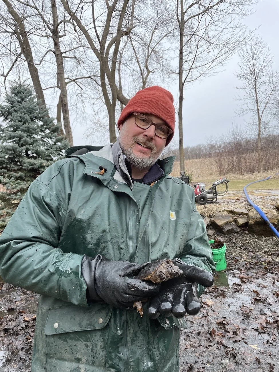 Finding a turtle how to clean backyard ponds water features