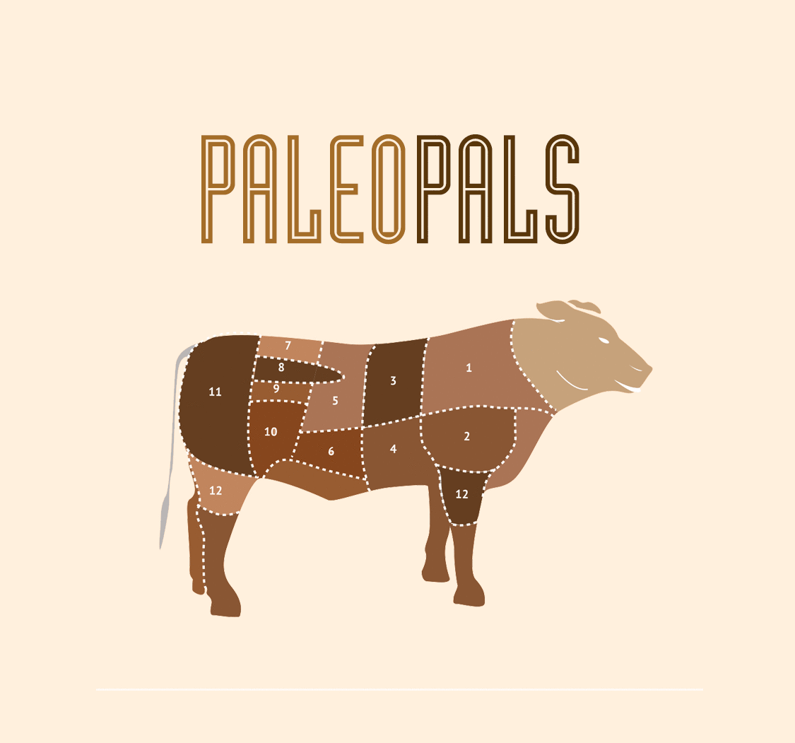 paleotag.gif