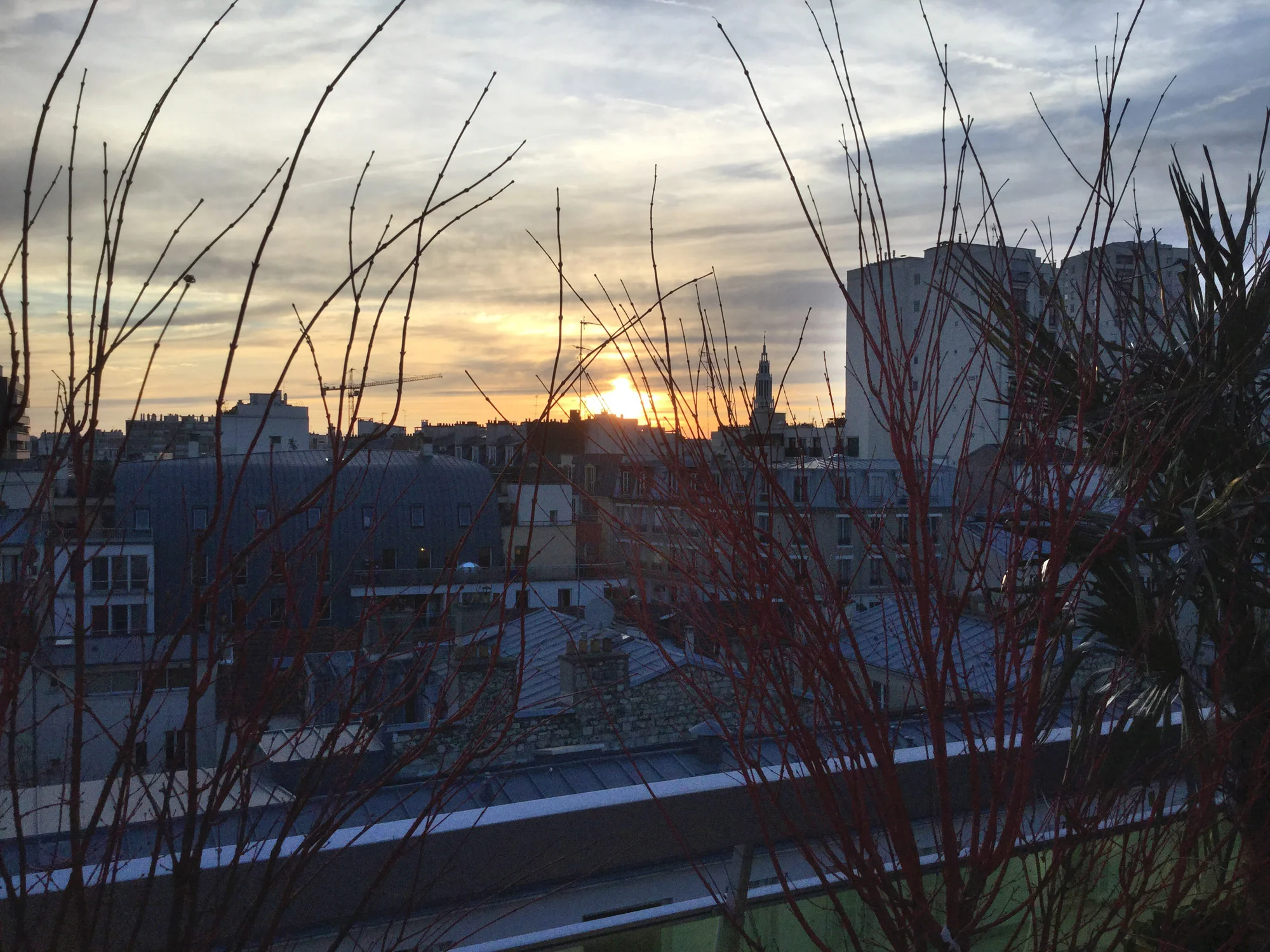 Twilight on the rooftop.
