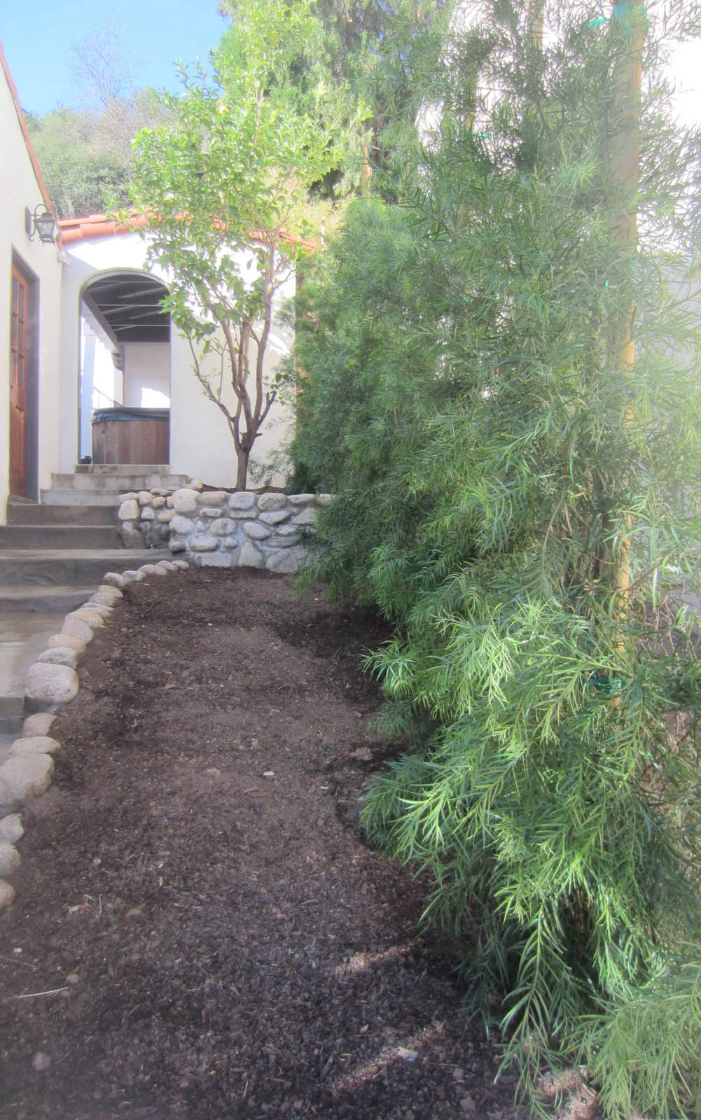 The Fern Pine Forest is planted.