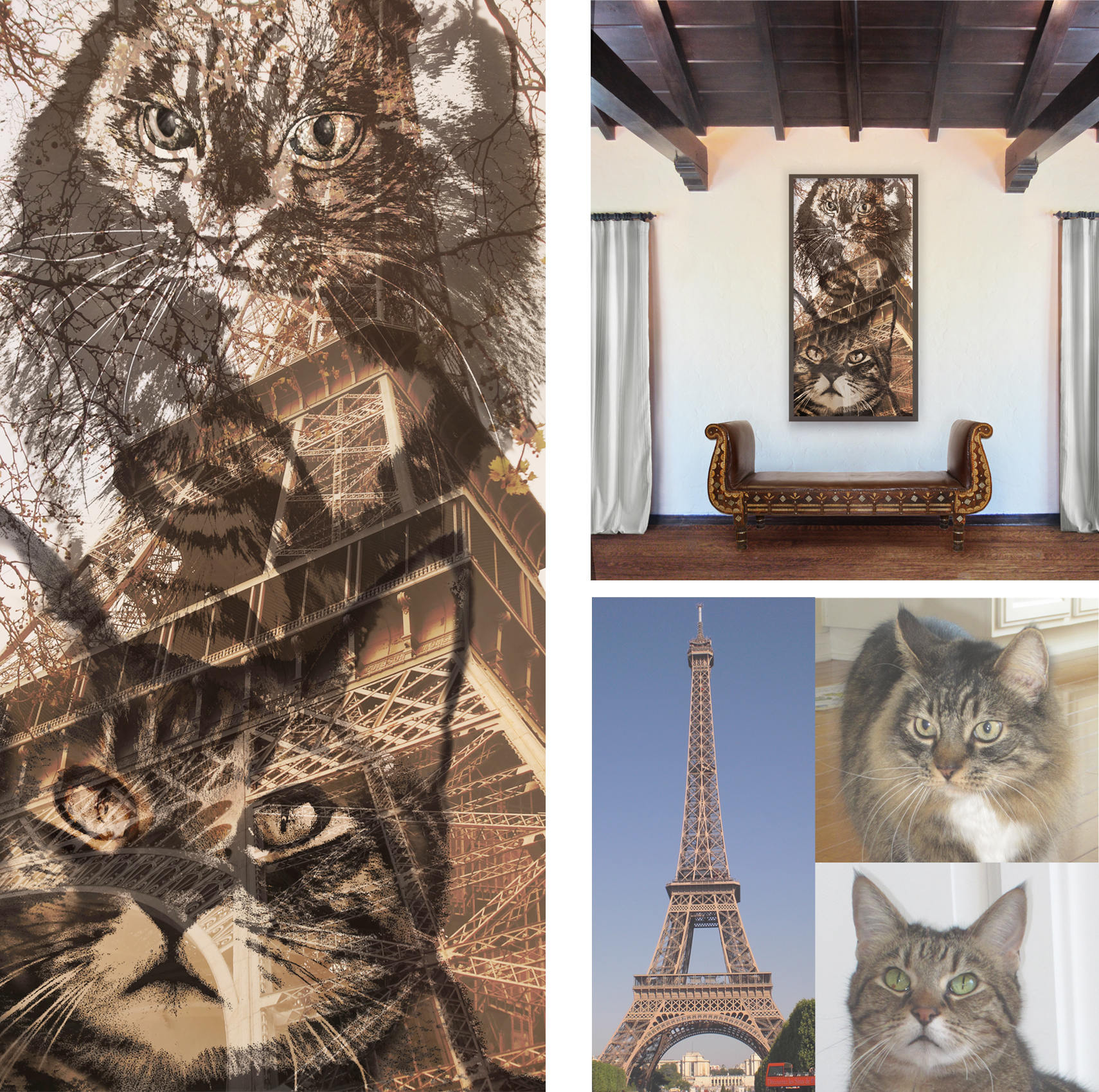 "Cats in Paris" by Nathalie Tierce