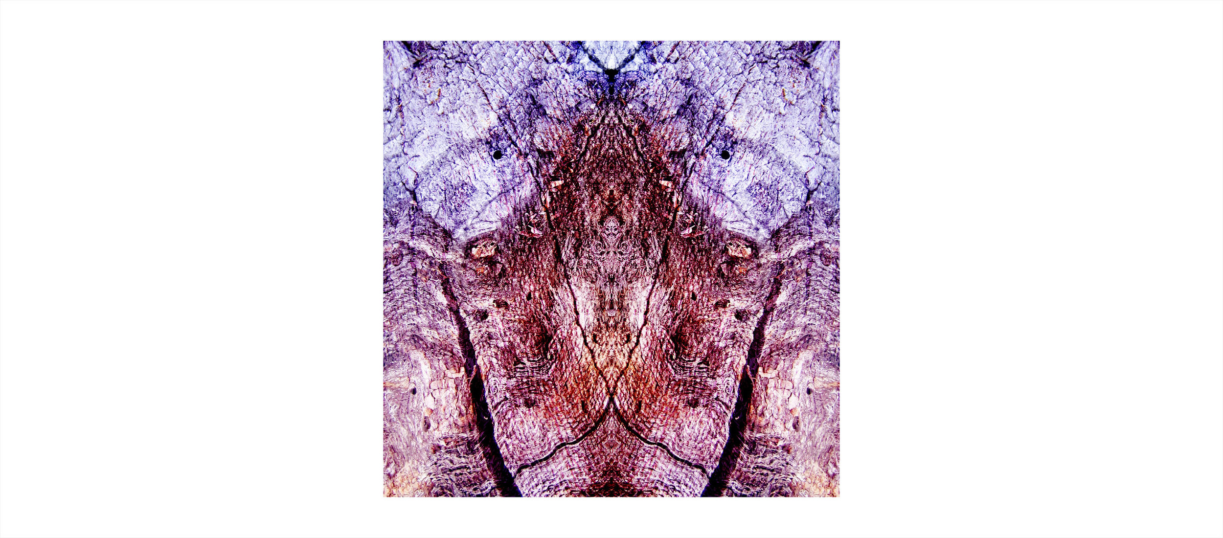 bark_painting_3b_color_cropped smallr darkr.jpg