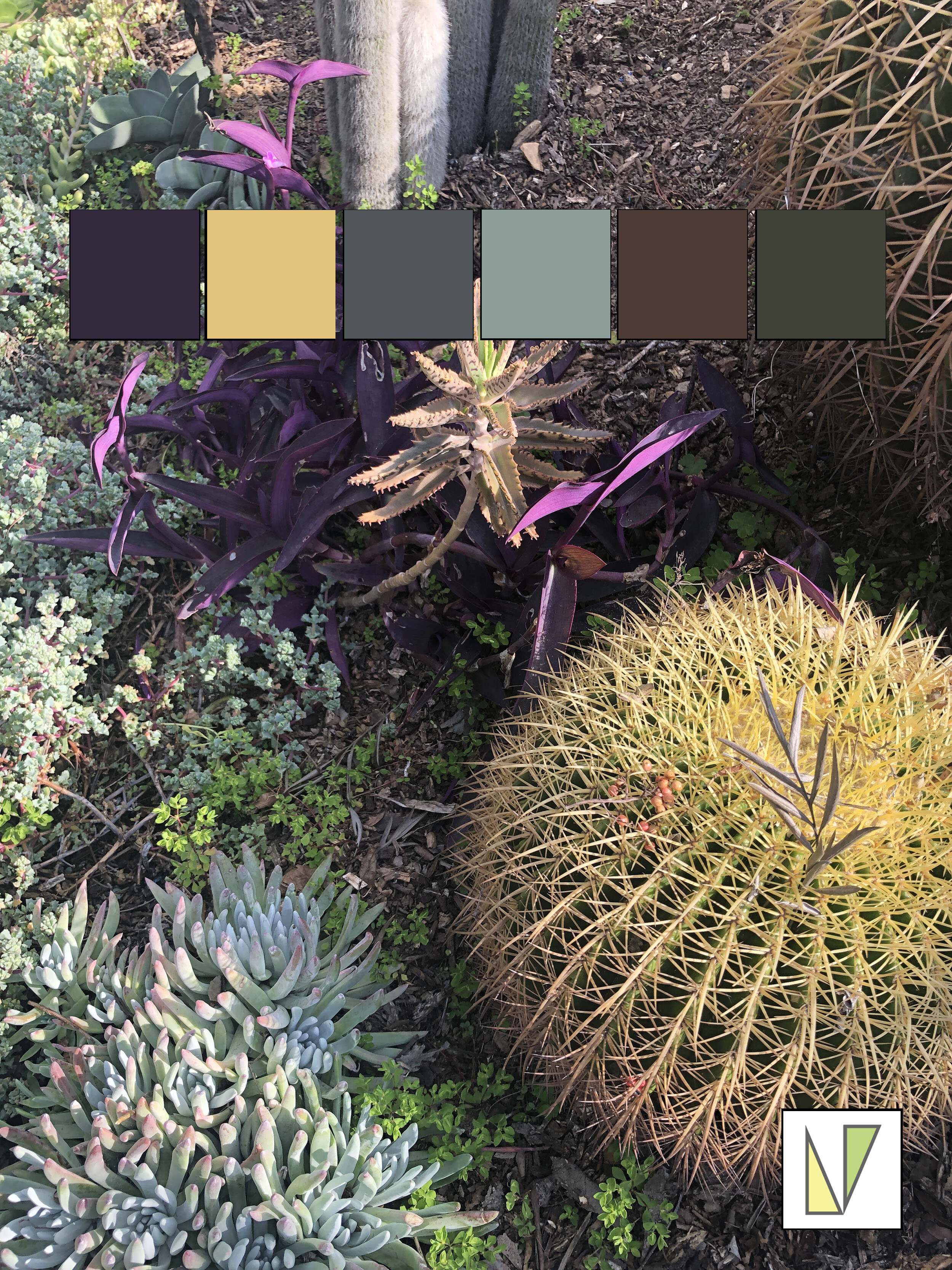 color samples from nature.jpg