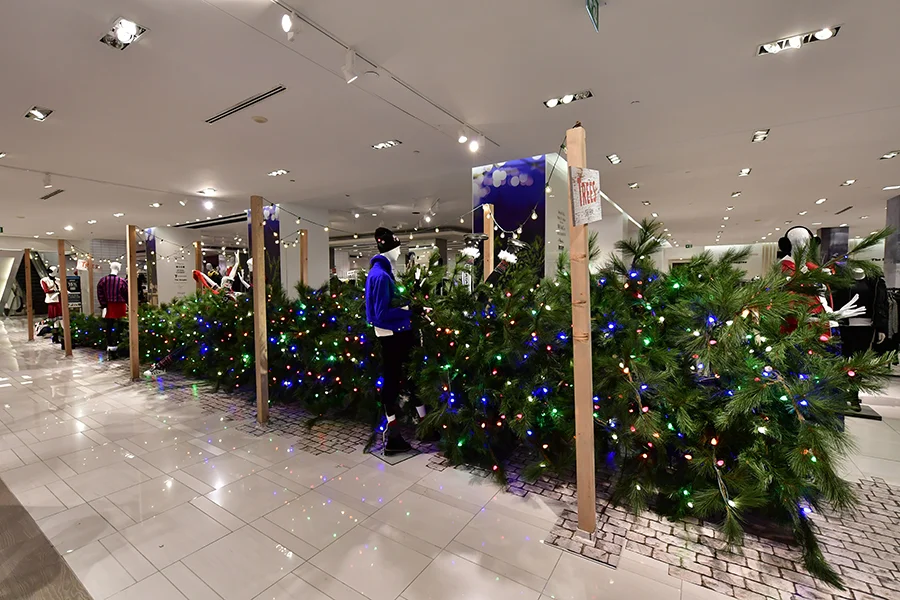HBCtree.jpg