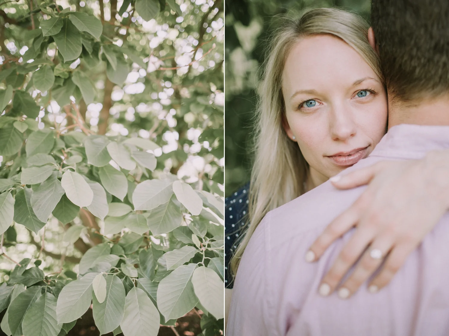 Arnold Arboretum Engagement Session in Boston Massachusetts