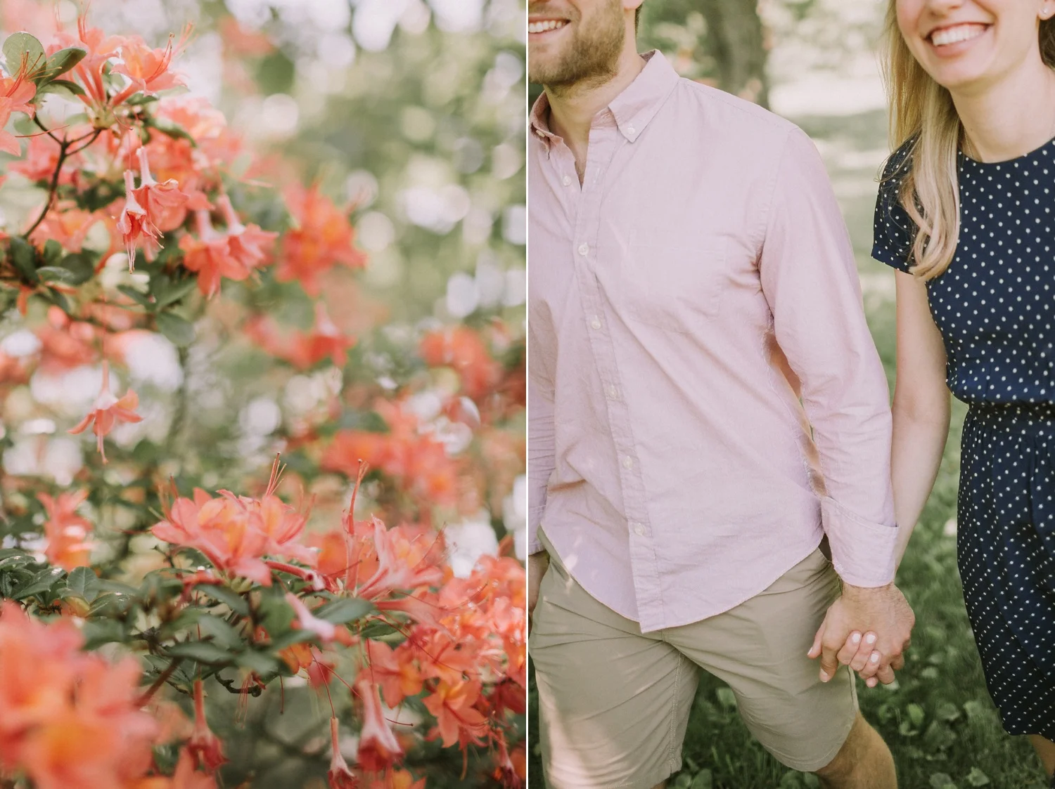 Arnold Arboretum Engagement Session in Boston Massachusetts