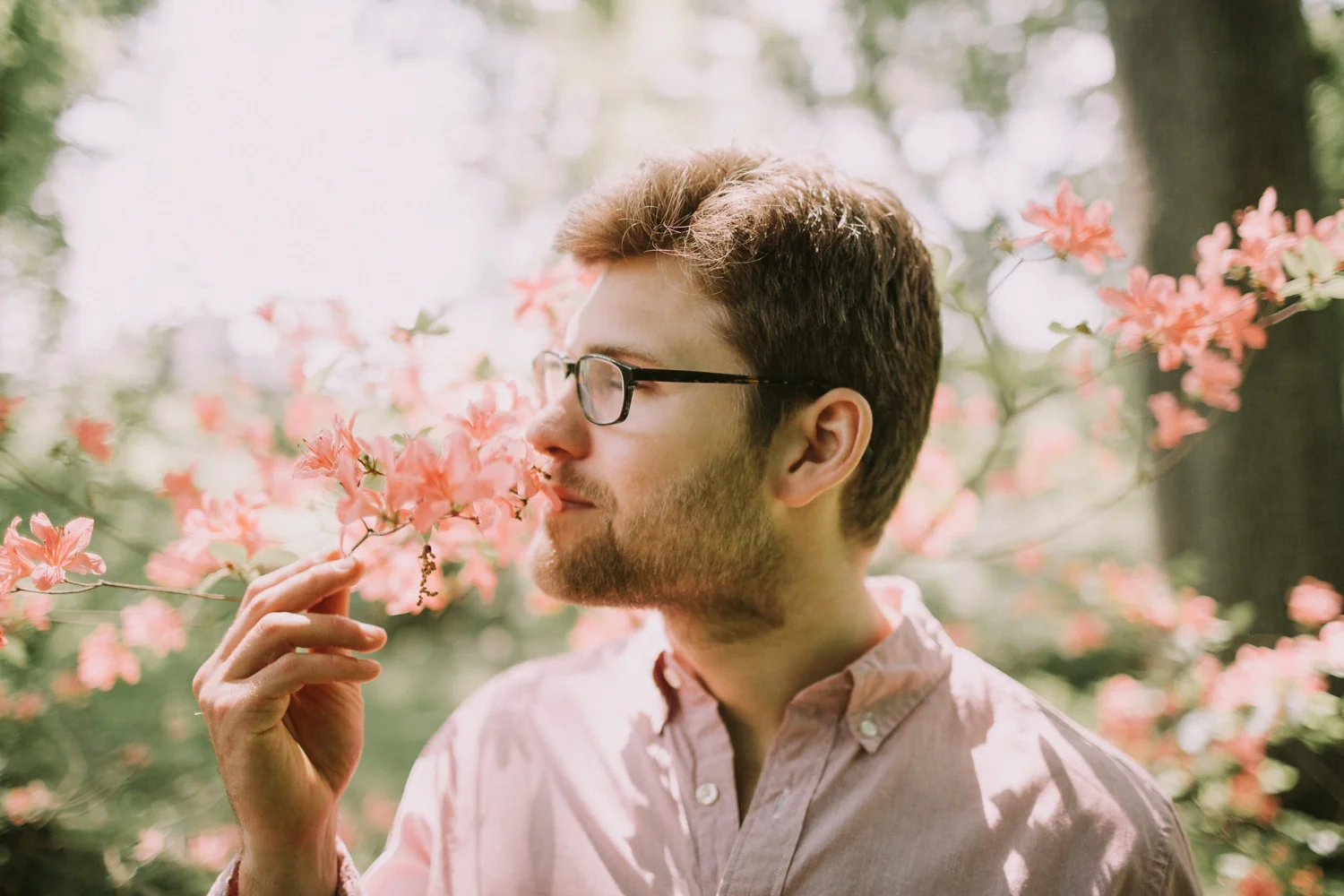Arnold Arboretum Engagement Session in Boston Massachusetts