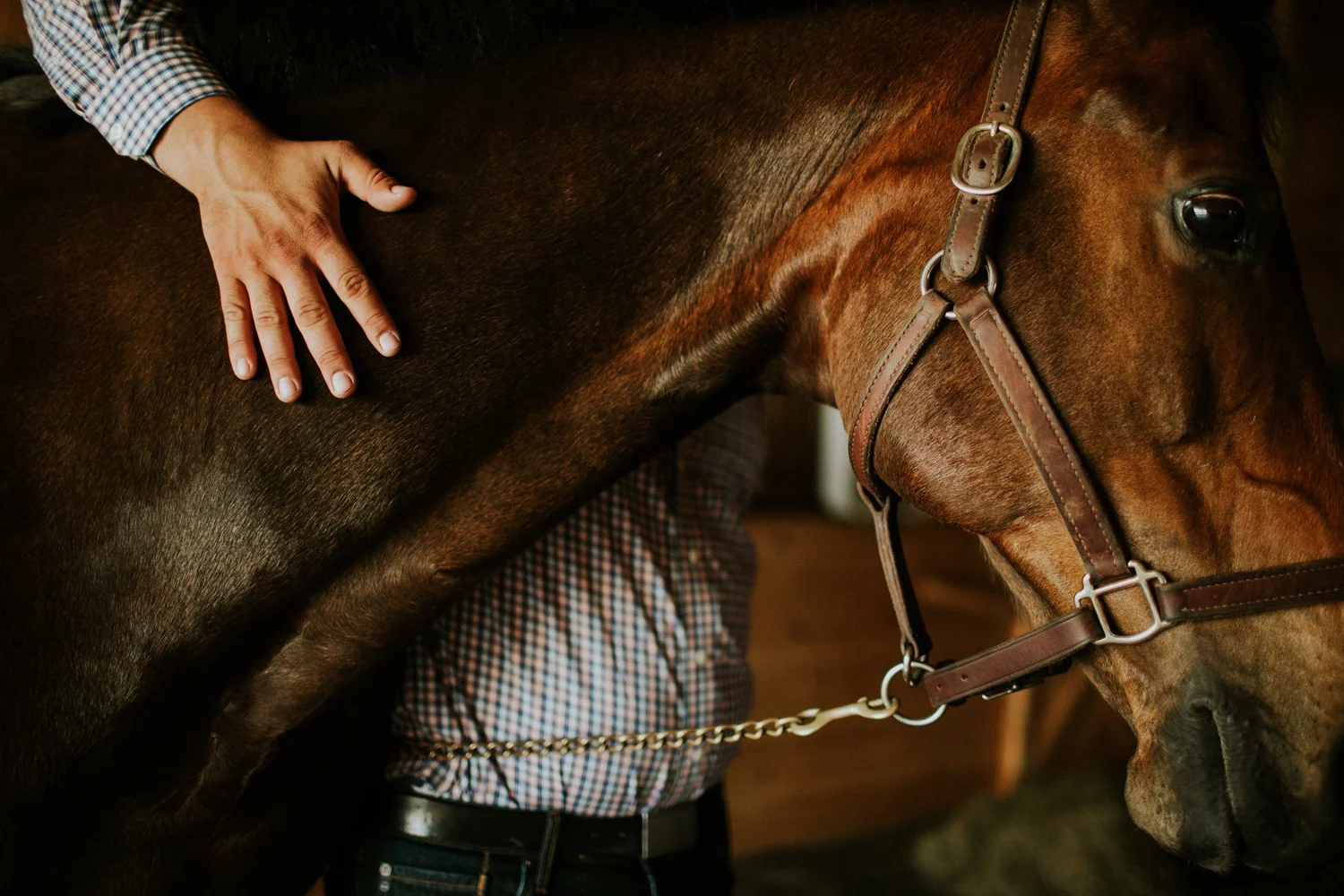 Engagement Session on a Horse Farm_0013.jpg