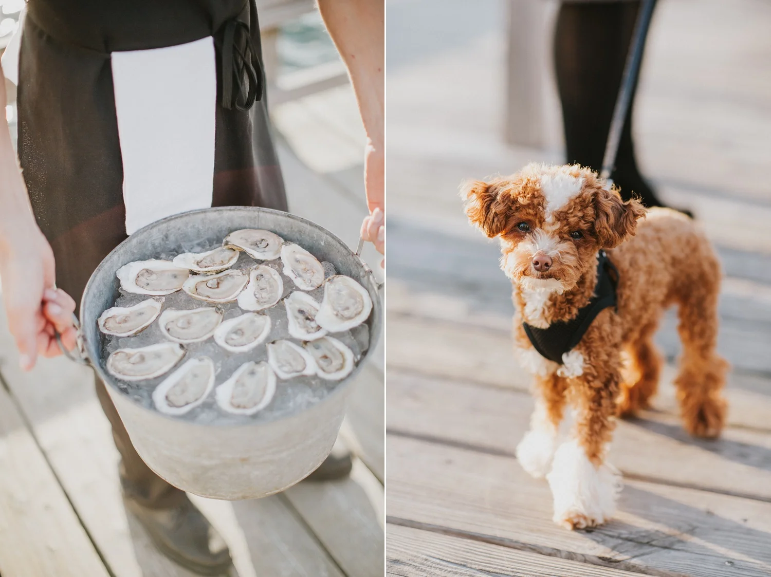 kennebunkport maine wedding photographer fine art