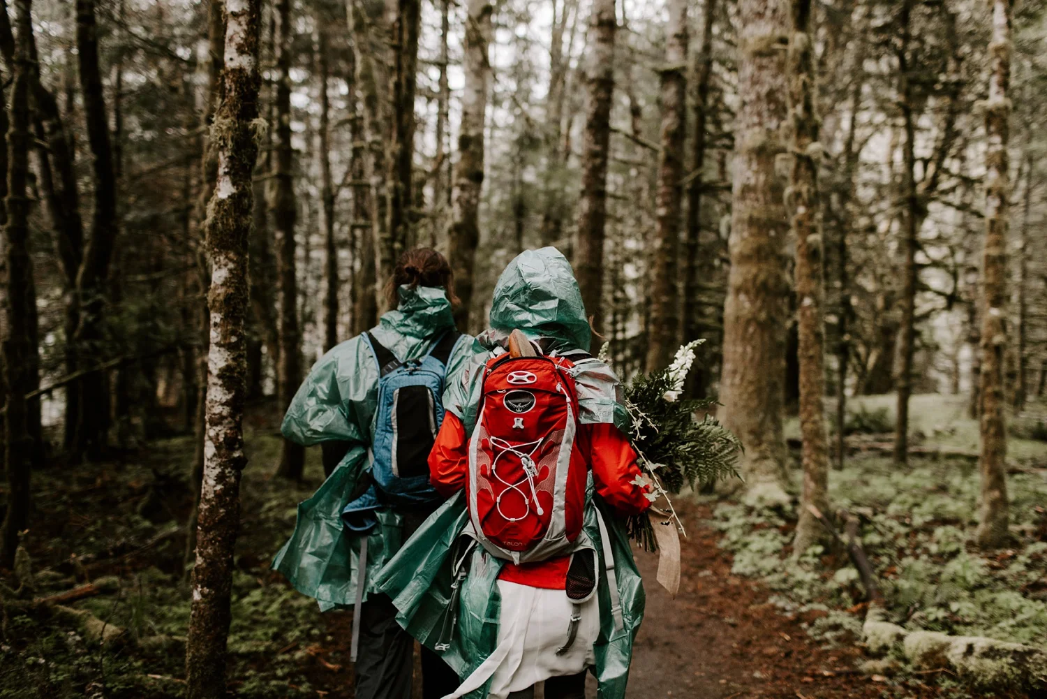 Olympic National Park Elopement
