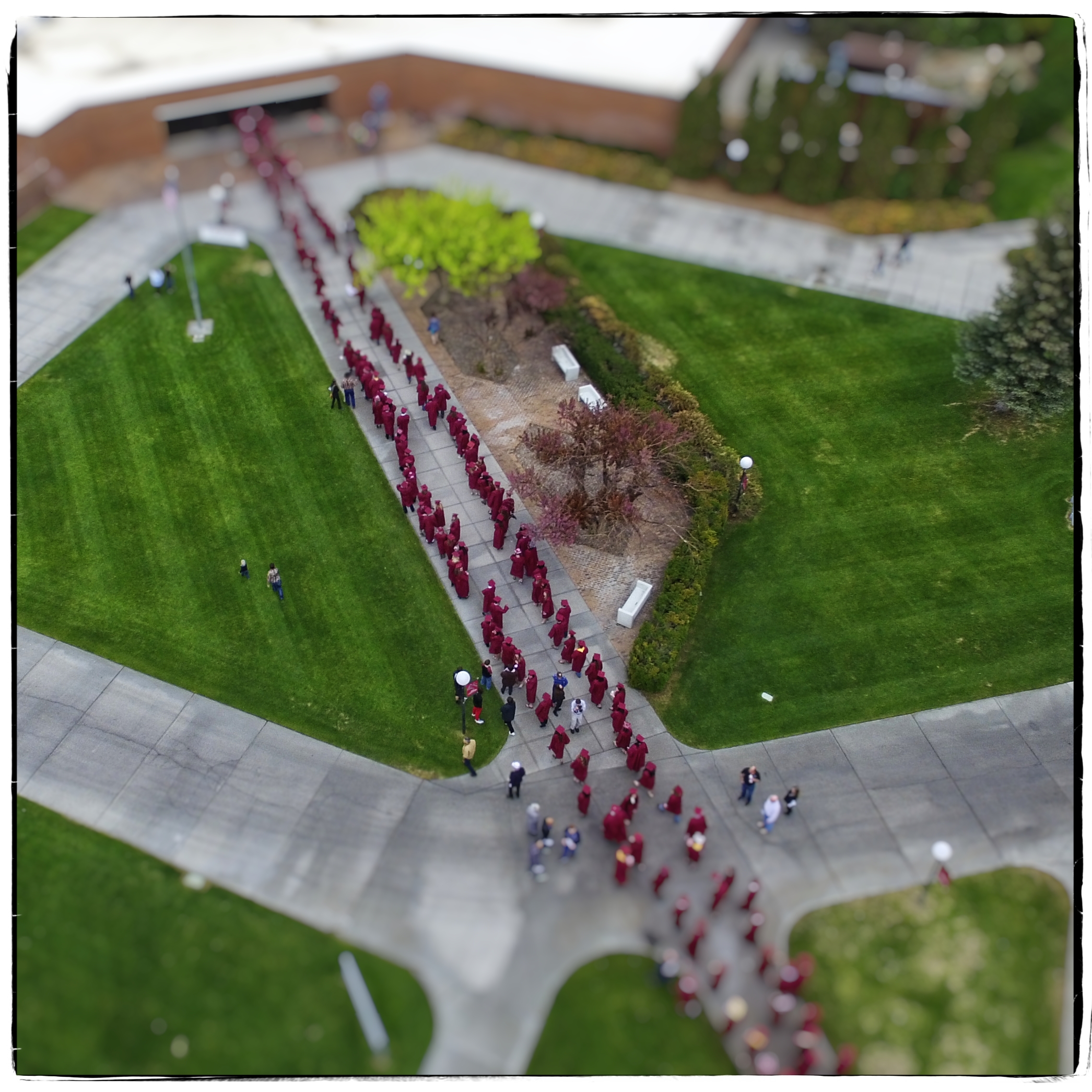 Graduation