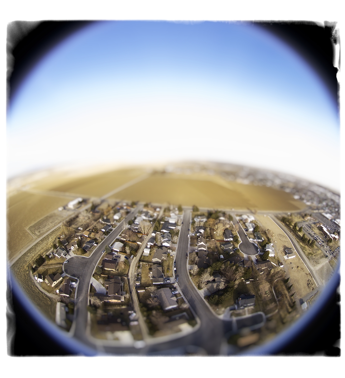 TinyPowellSuburb.jpg