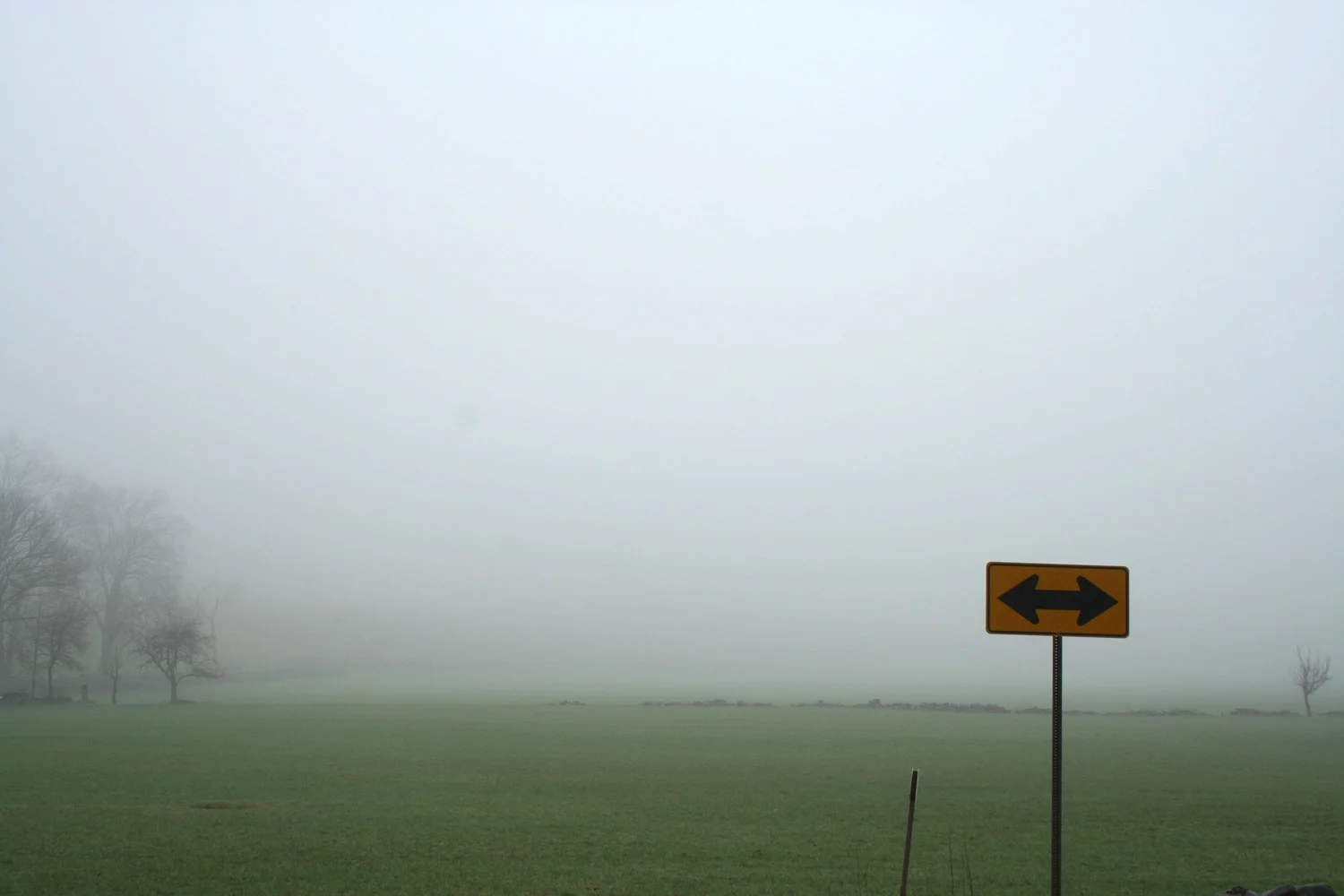 fog2.jpg