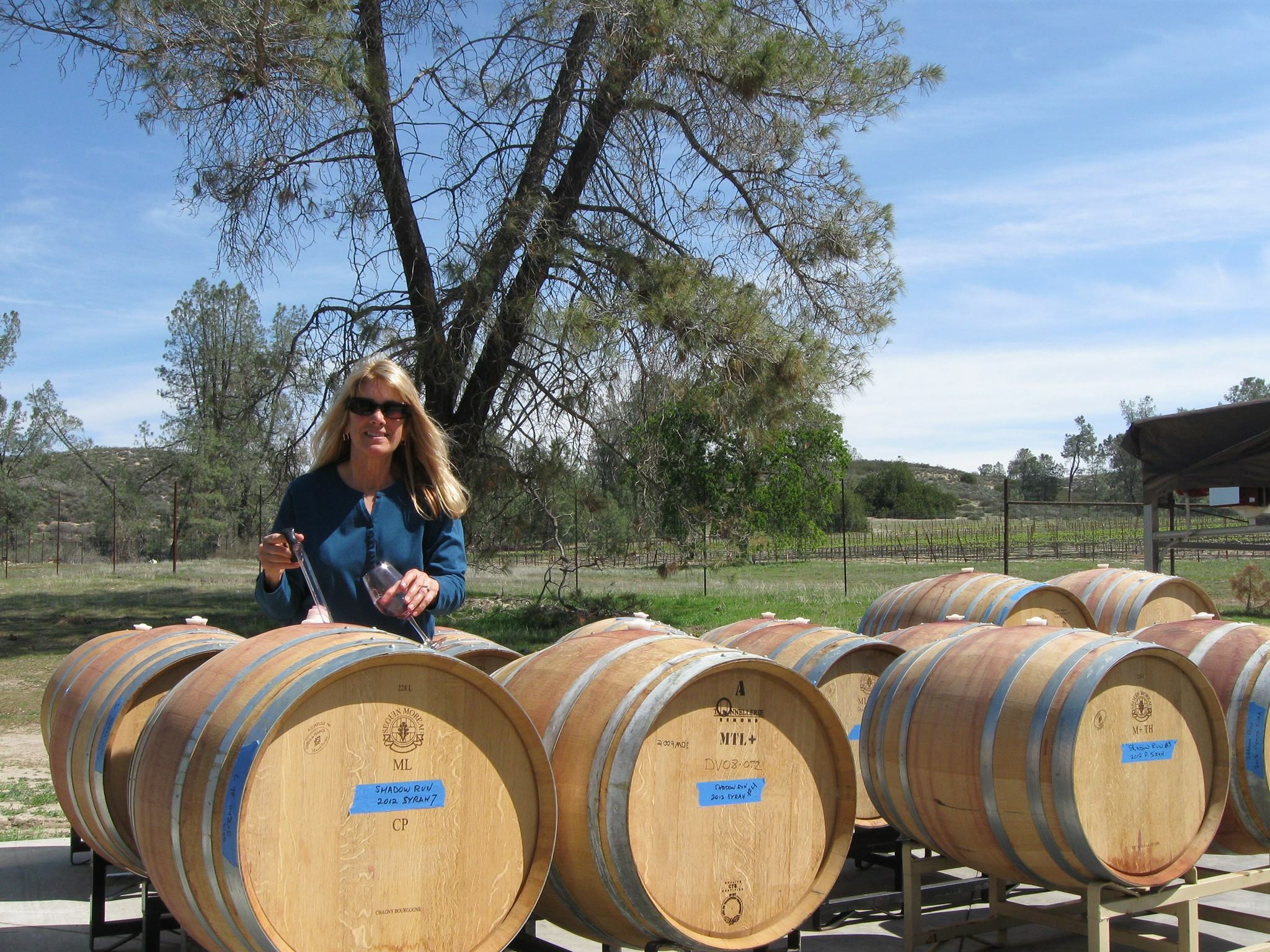 Shadow Run's winemaker, Susan Evans