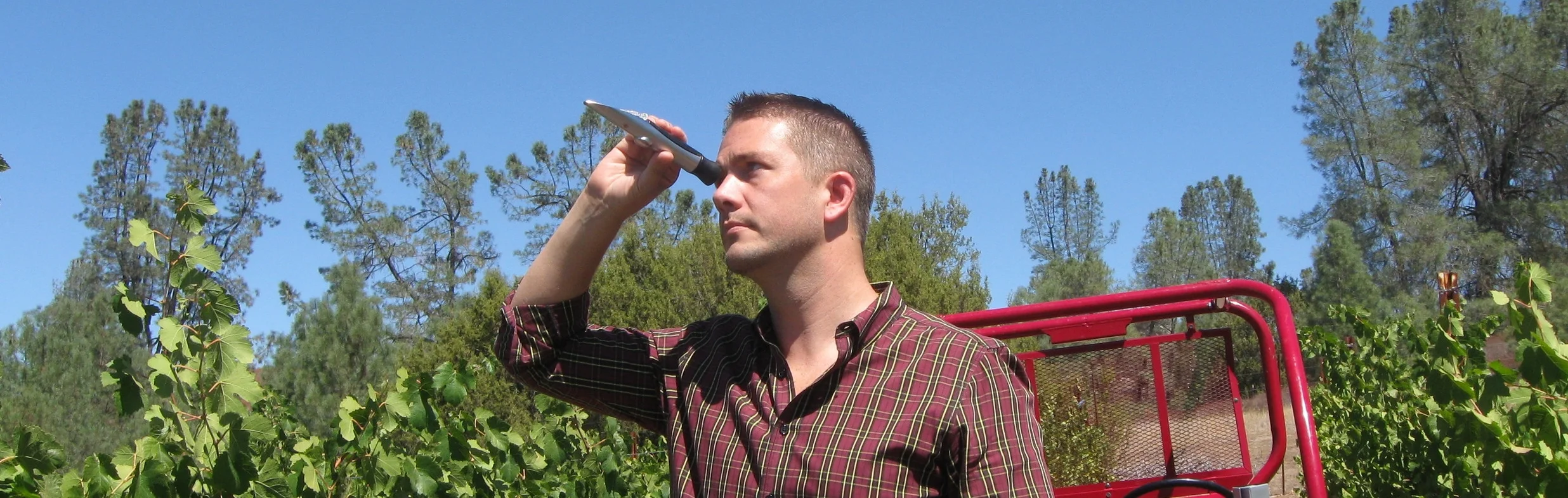 Aaron Testing Grapes.jpg
