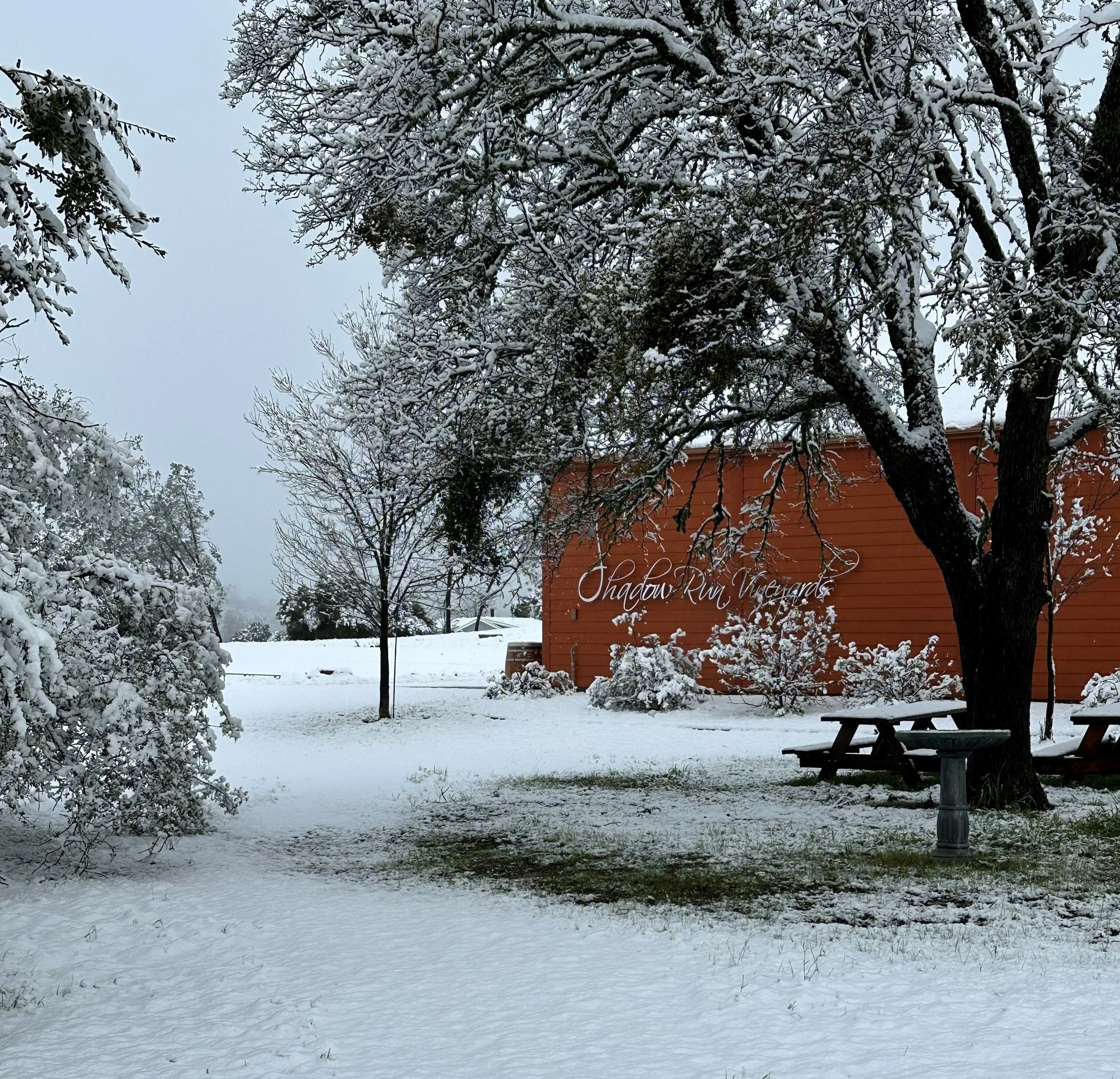 Snow, Rain, and a Glorious Spring