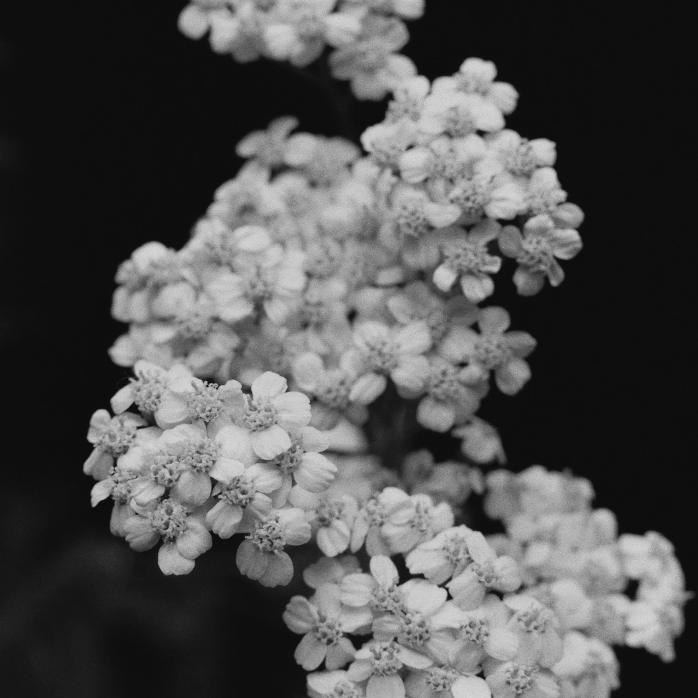 1021793-R1-E012JUAN PINNEL.jpg