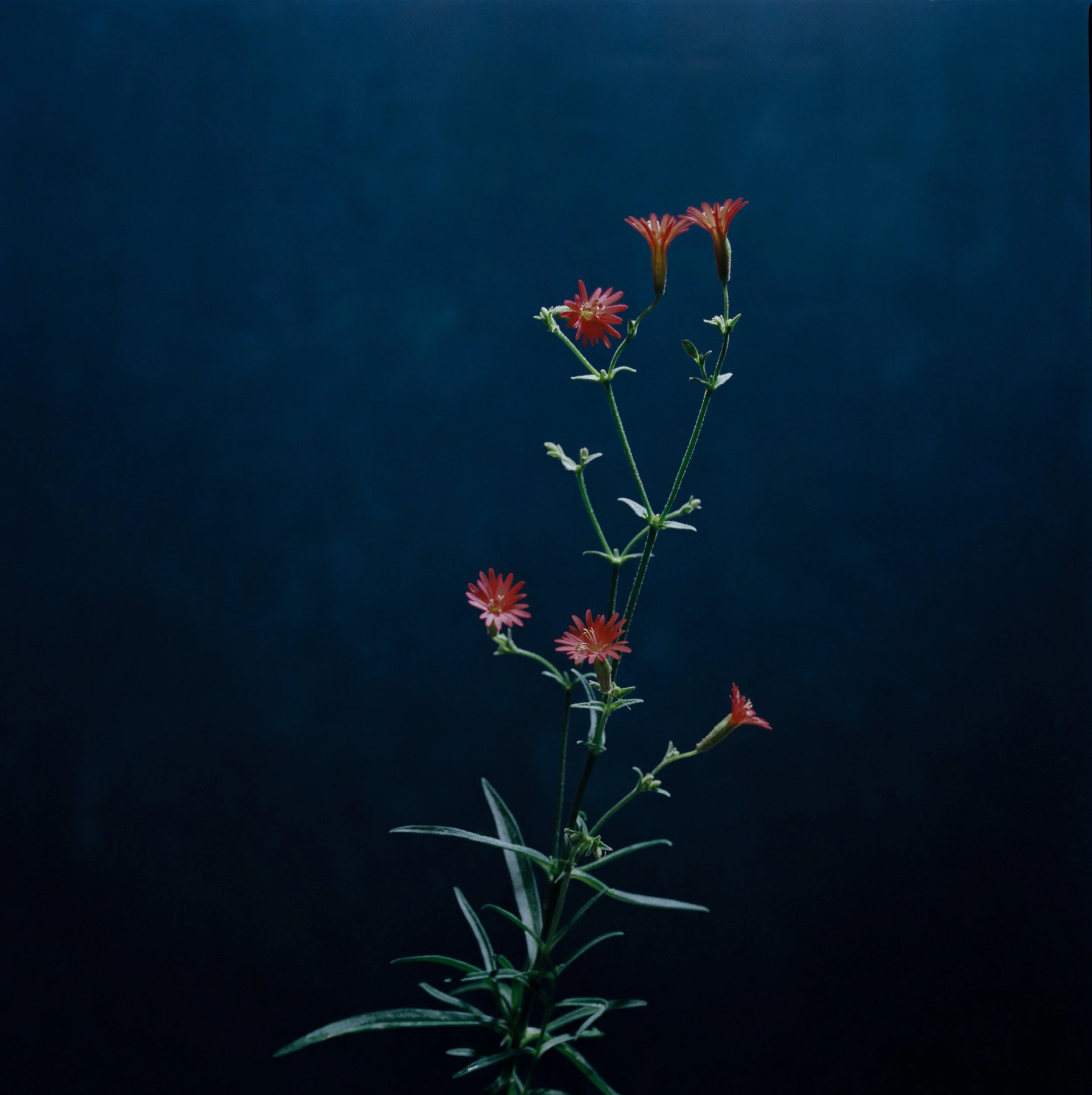 14192_03JUAN PINNEL.jpg