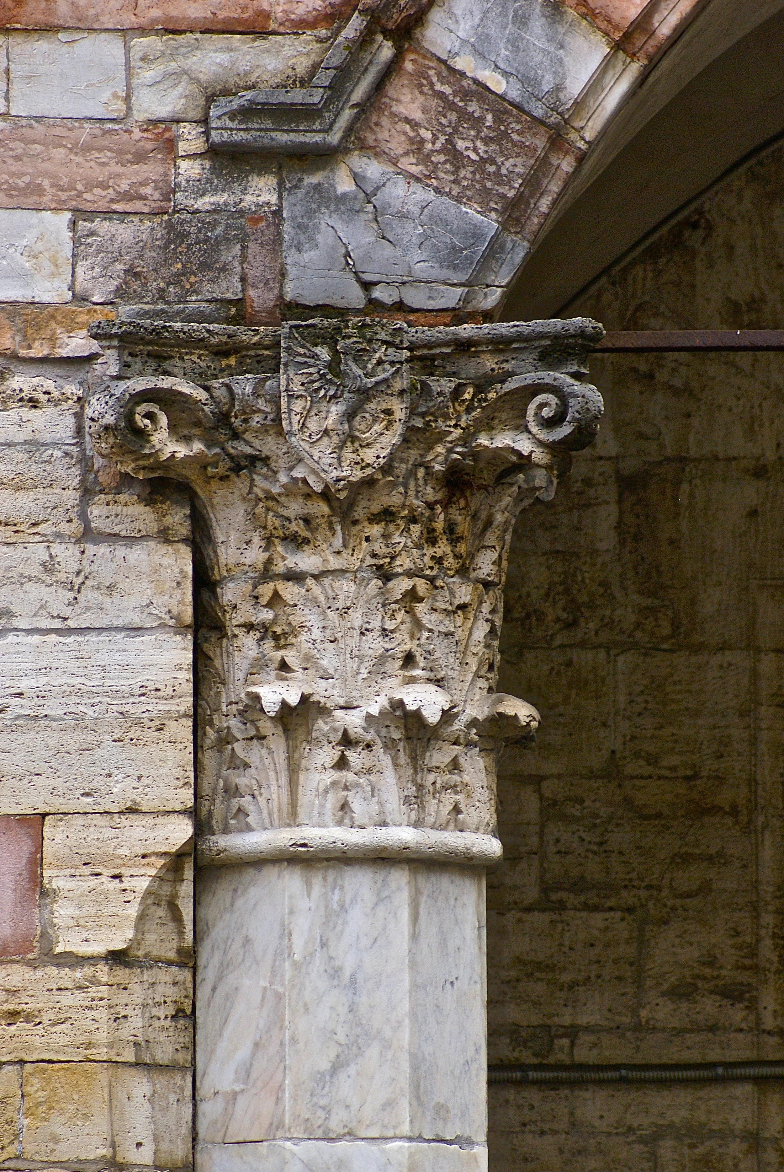 DSC03341.jpg