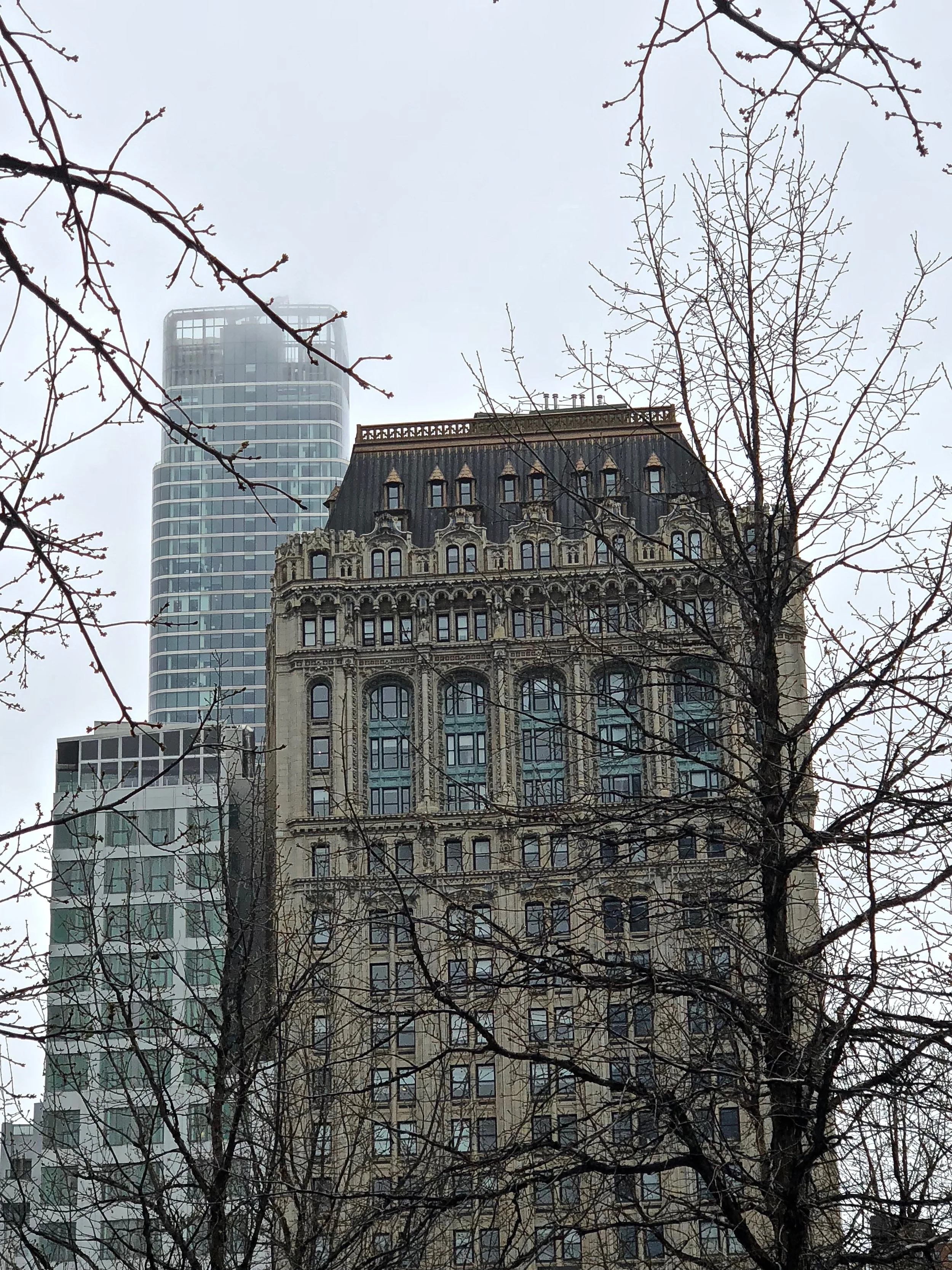 IMG_3934.jpg