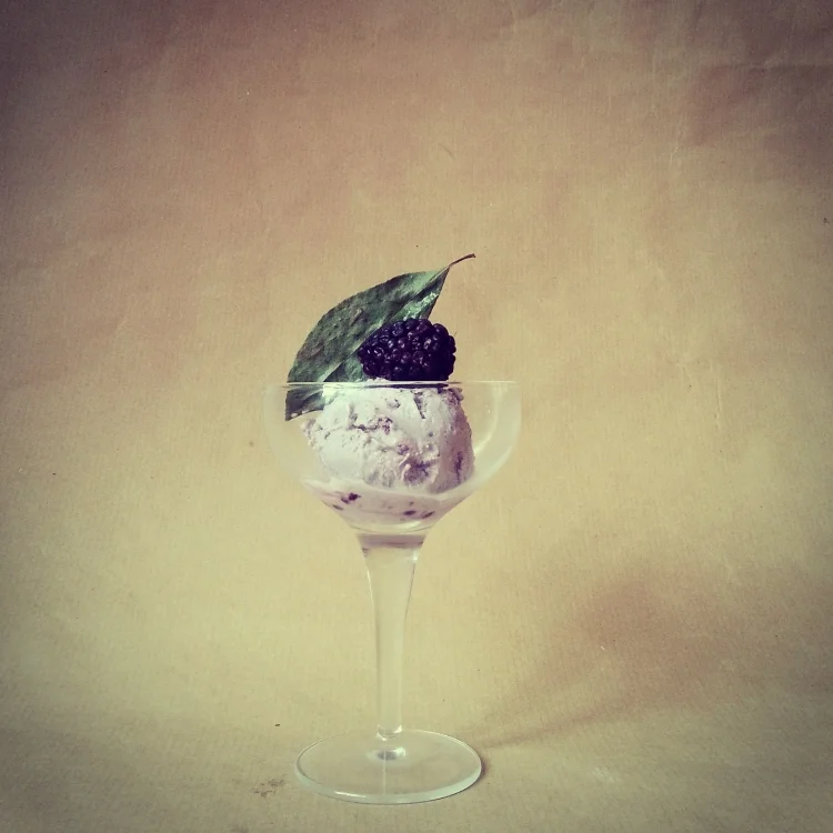 Blackberry and Bay Ice-Cream.