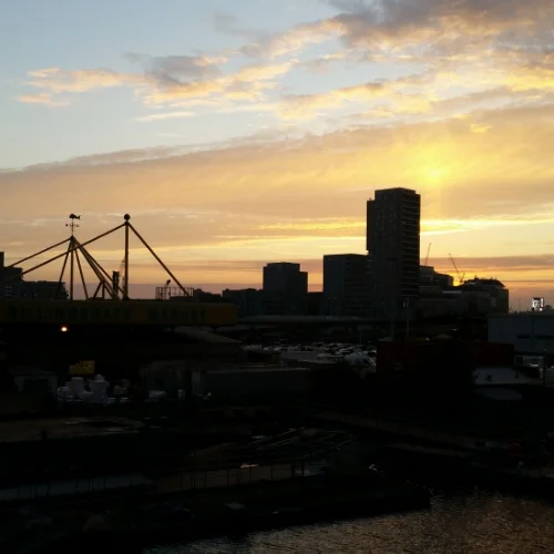 Crab Avocado And Mayonnaise The Bell Jar The Little Library Cafe