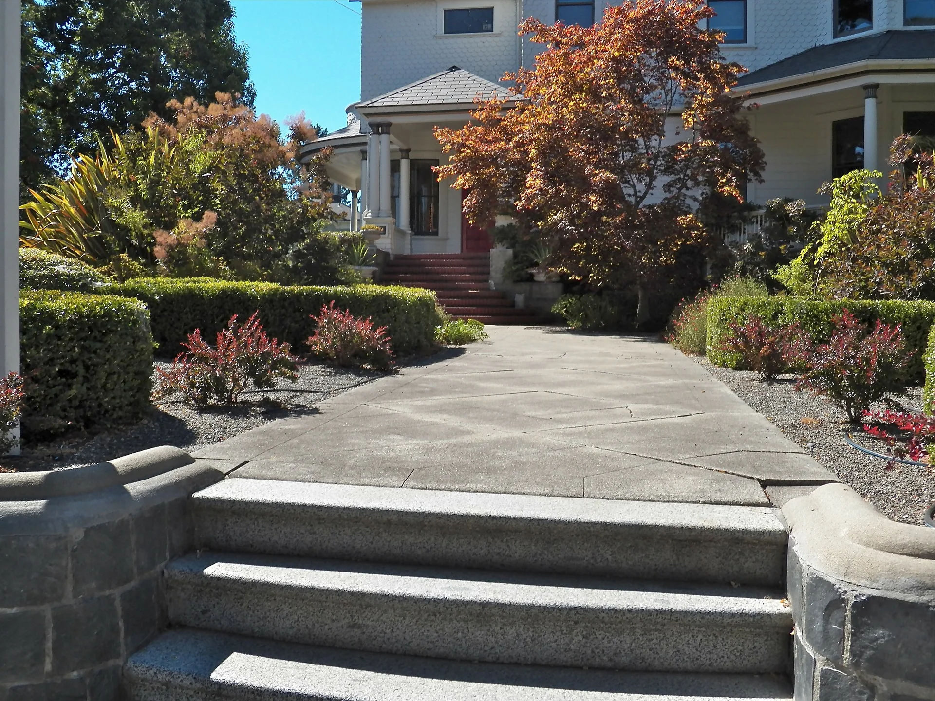 pathway-244494_1920.jpg
