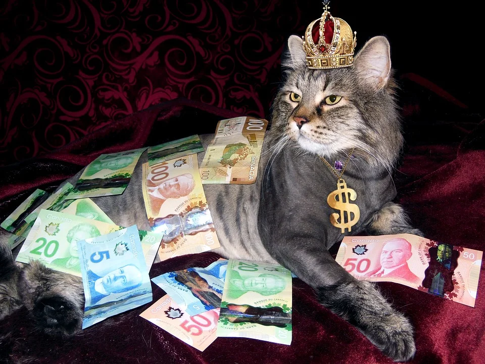 save money downpayment.jpg