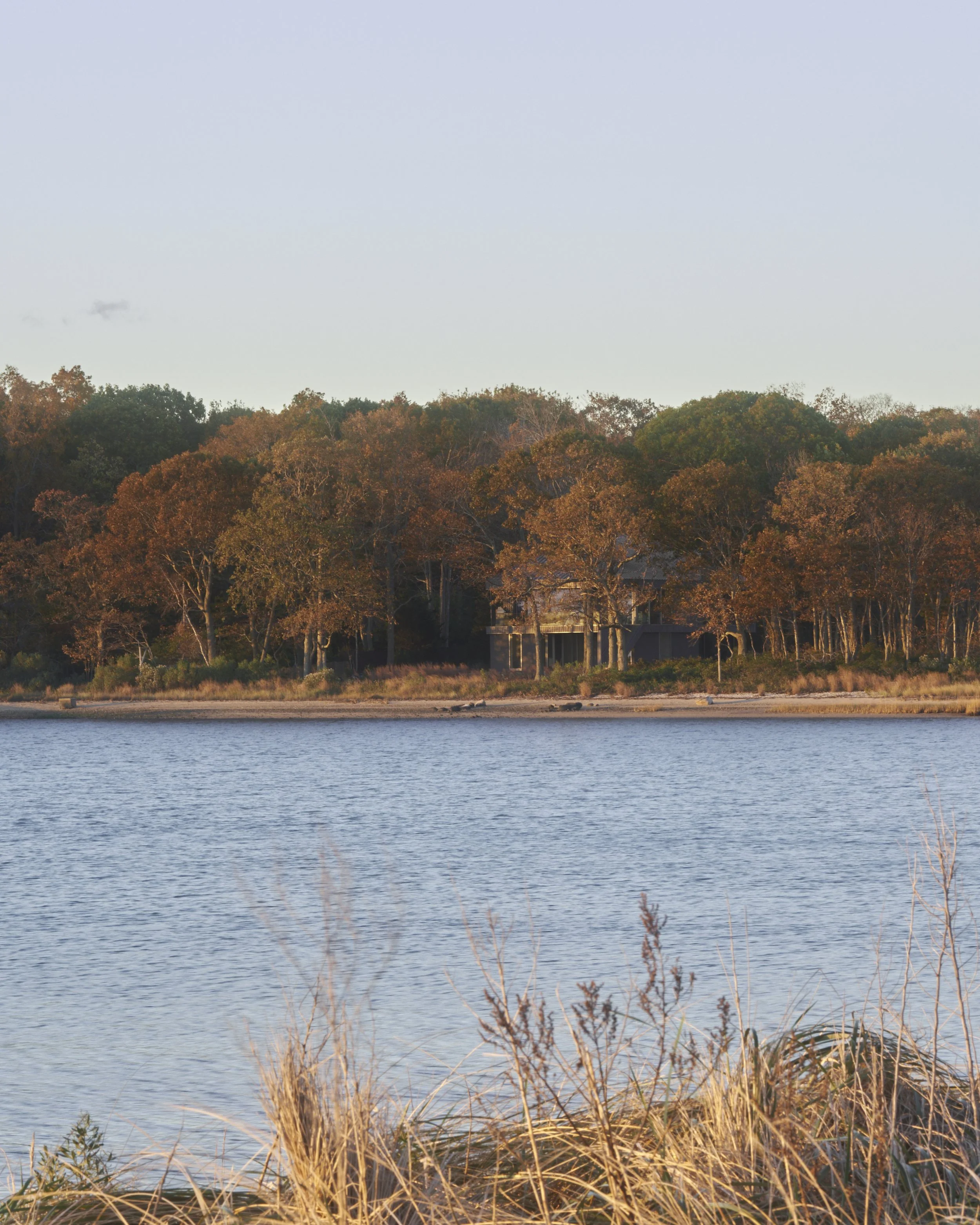 Desai Chia - Osprey House - 001.jpg