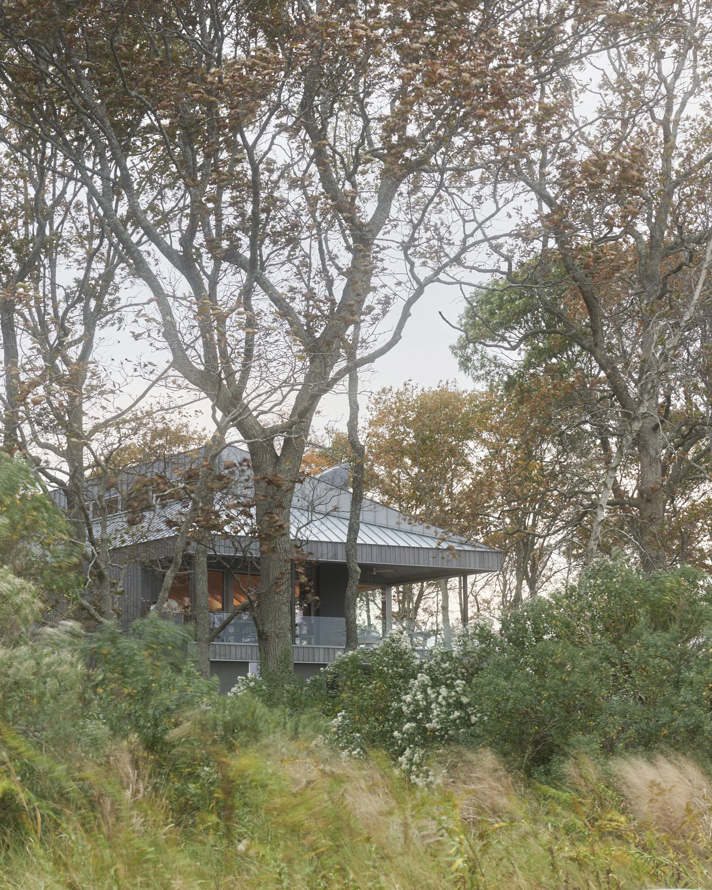 Desai Chia - Osprey House - 005.jpg