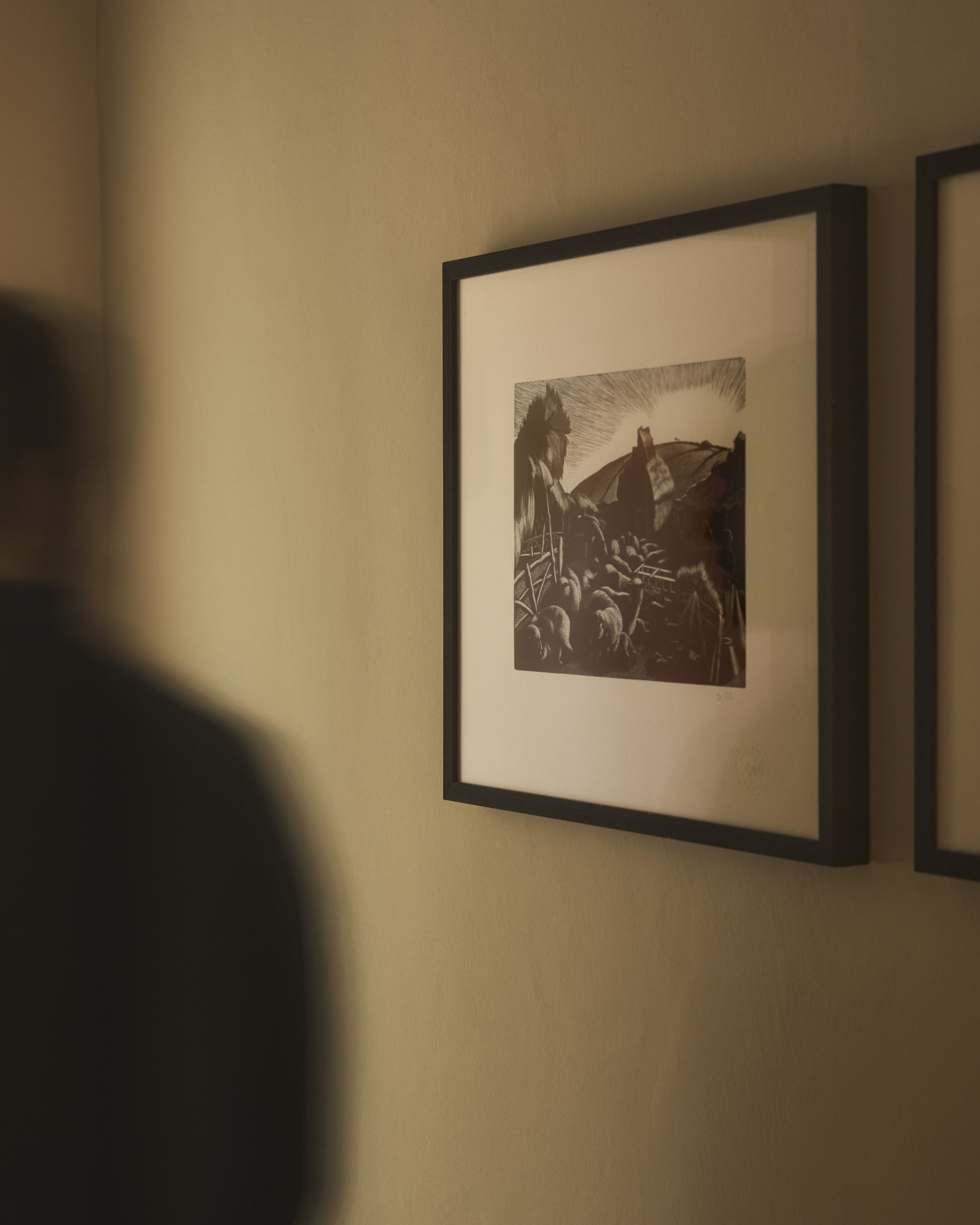 HYLL - Artwork - 13.jpg