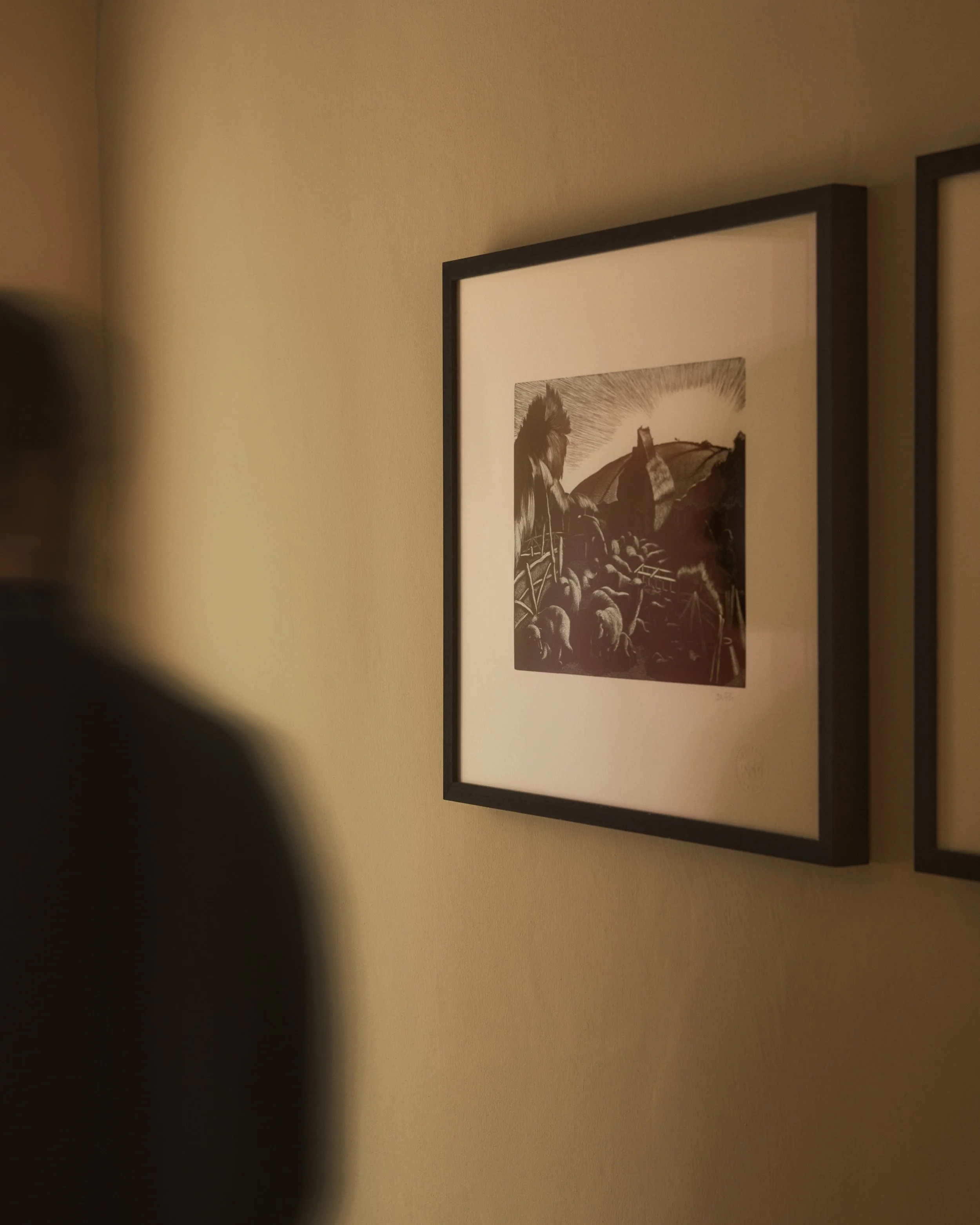 HYLL - Artwork - 13.jpg
