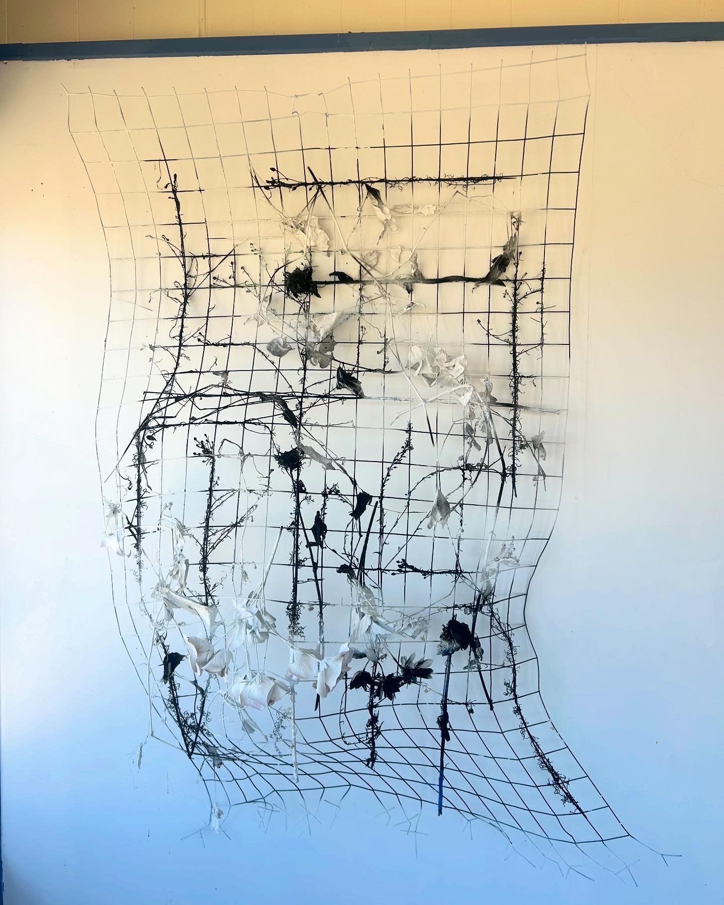  Fences and Flowers 36” x 48” x 7” Flora, steel fence, acrylic 