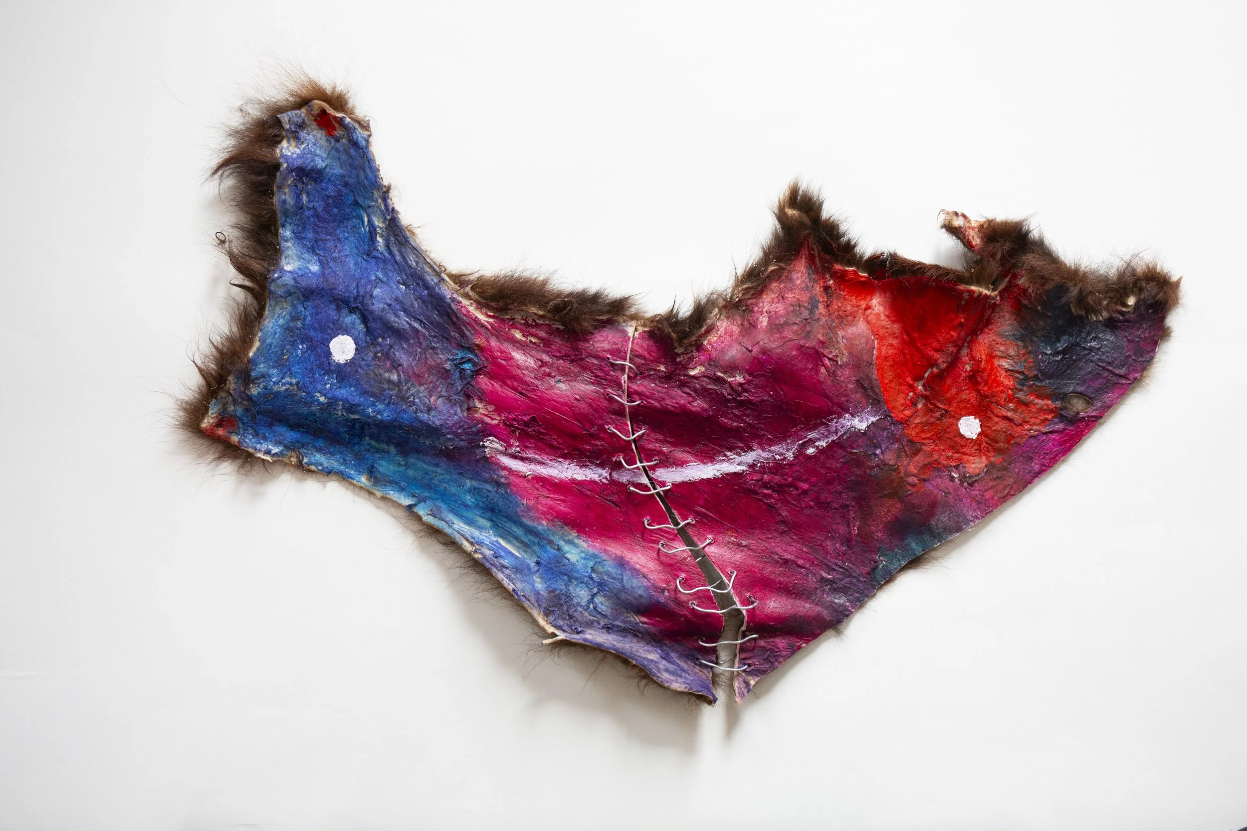  Cold Desert  18” x 26" - dimensions variable  Animal hide, acrylic, oil, telephone wire 