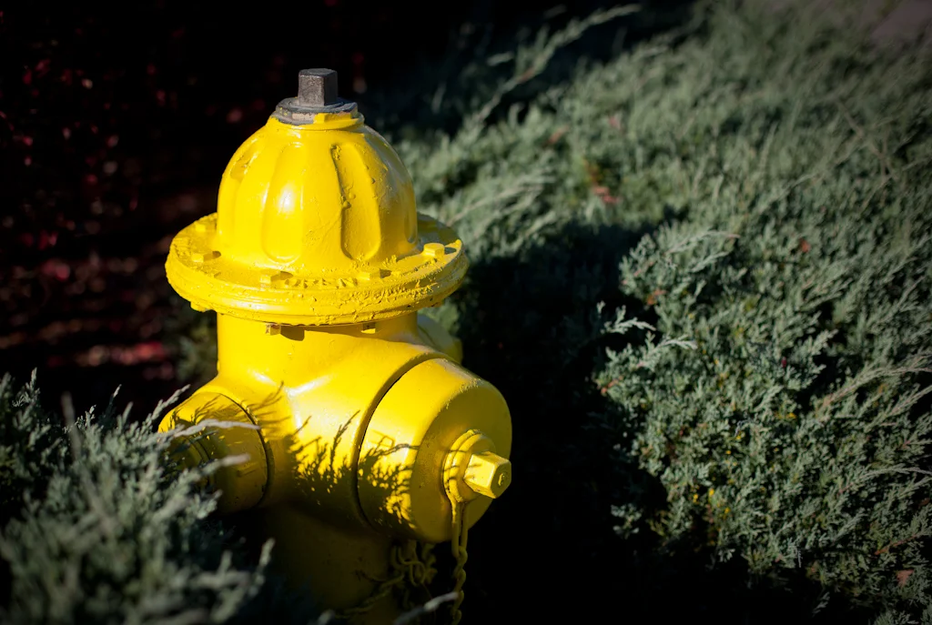 Bright Yellow Hydrant
