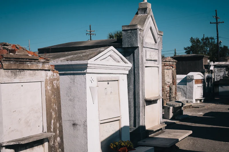 Walking with the Dead