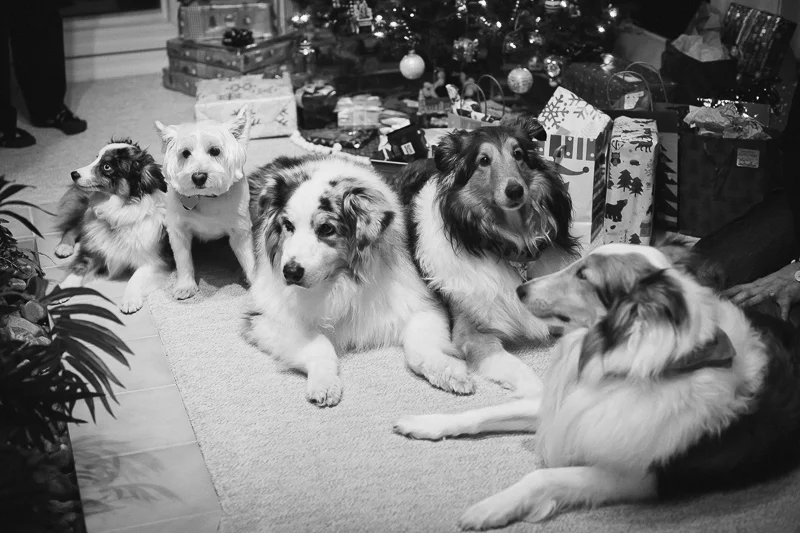 Christmas – In February?