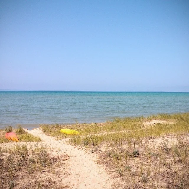 My backyard this week